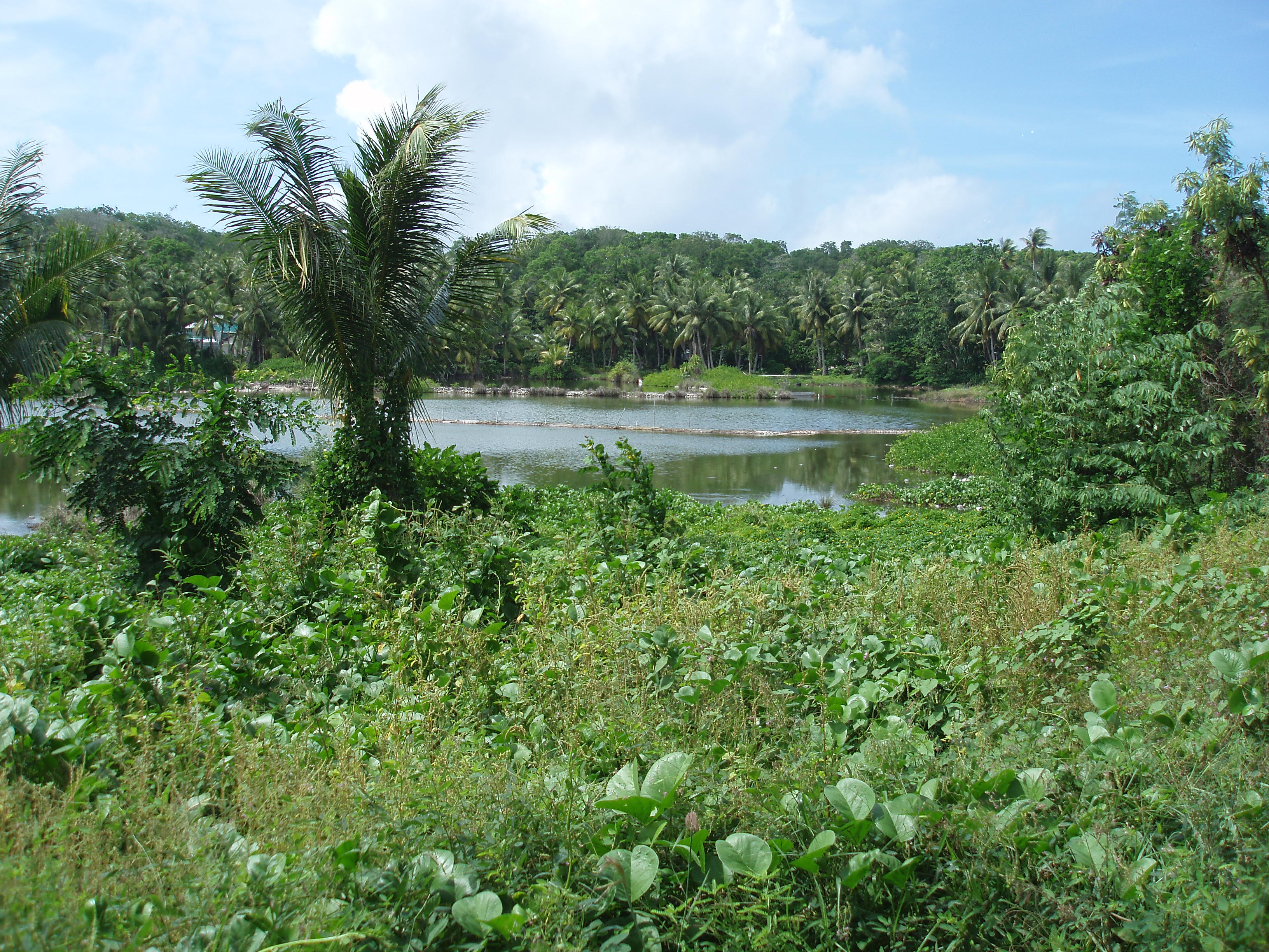 Laguna Buada
