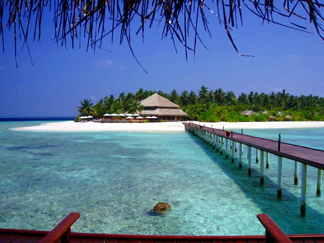 Pantai pulau Filitheyo dengan pokok kelapa yang tinggi dan lagun biru yang segar