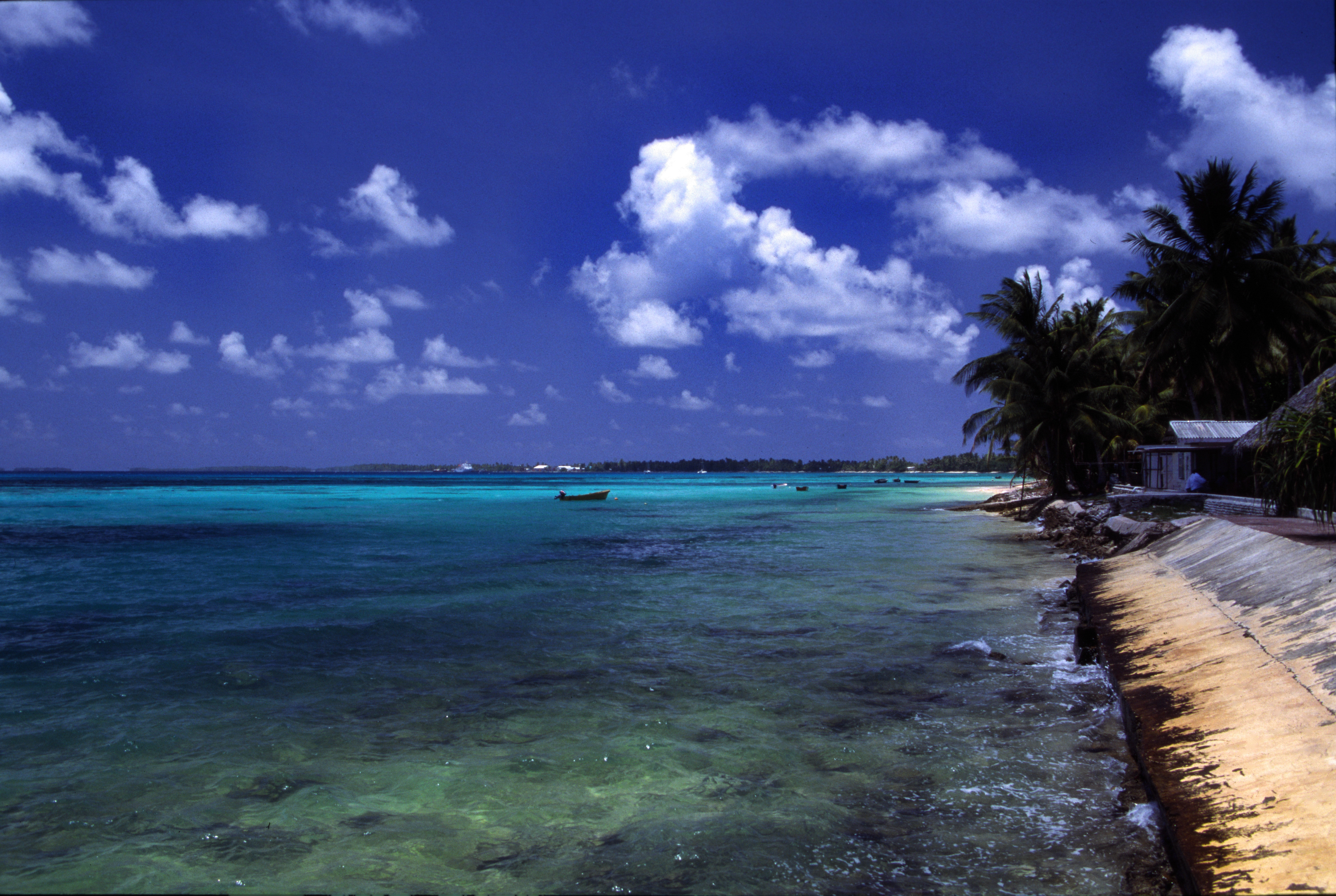 Pantai di atol Funafuti.