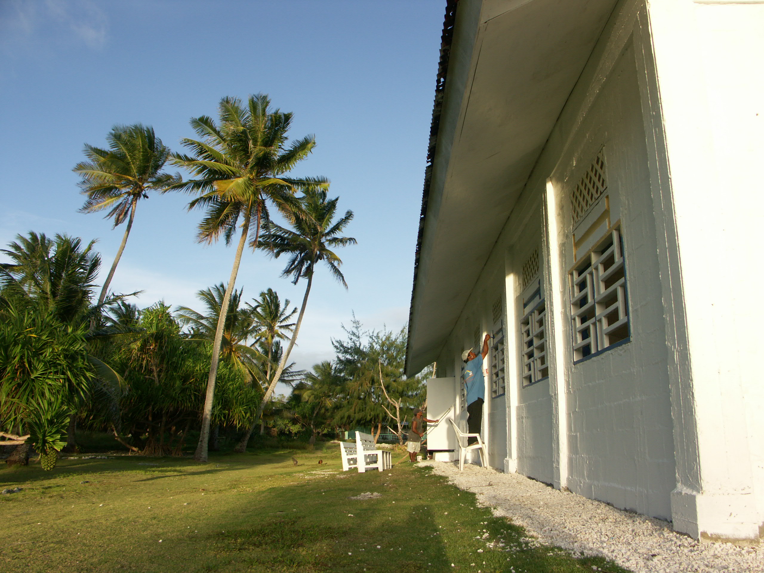 Pohon kelapa di Kepulauan Marshall
