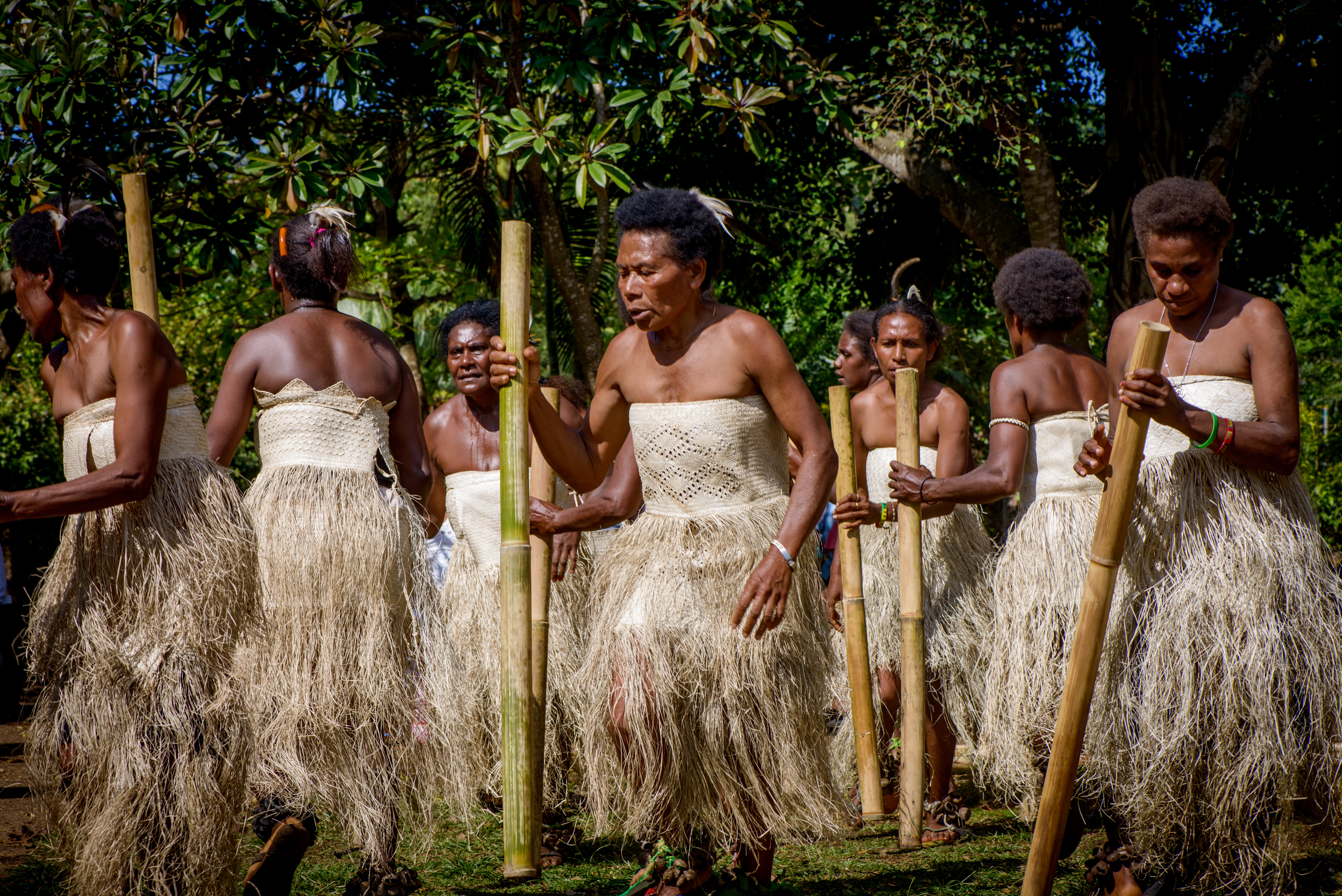 Tarian wanita dari Vanuatu; menggunakan tabung hentak bambu.