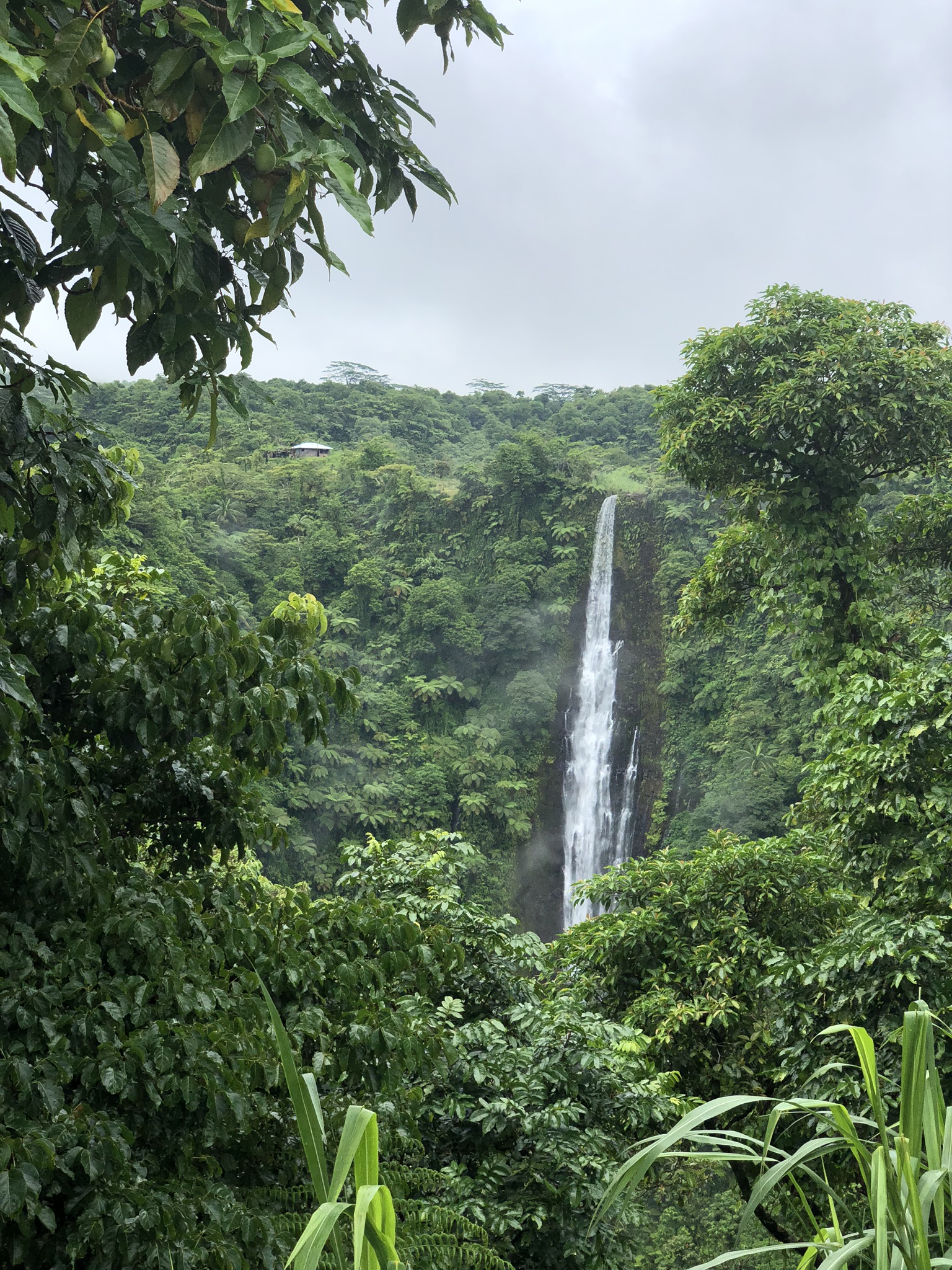 Air terjun Samoa