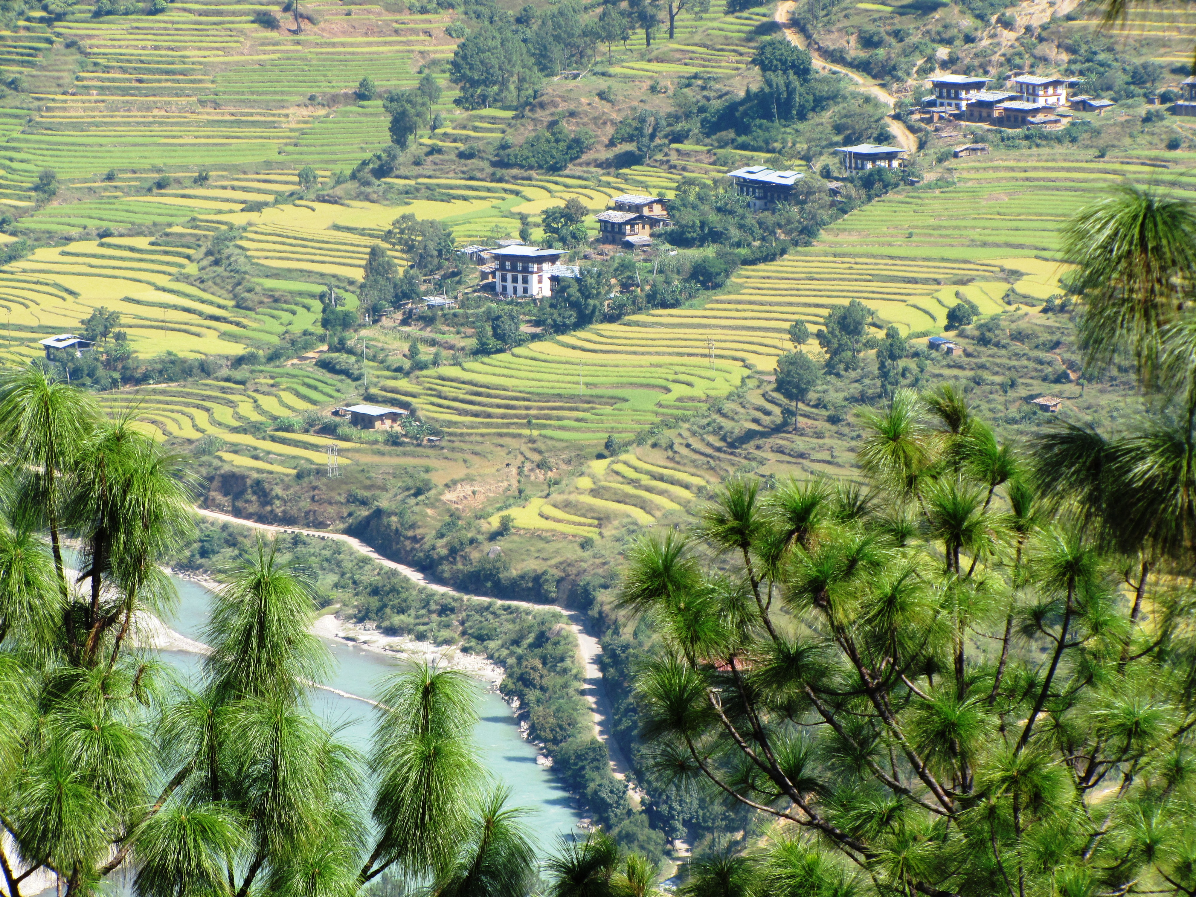 Teres padi di salah satu lembah subur Bhutan