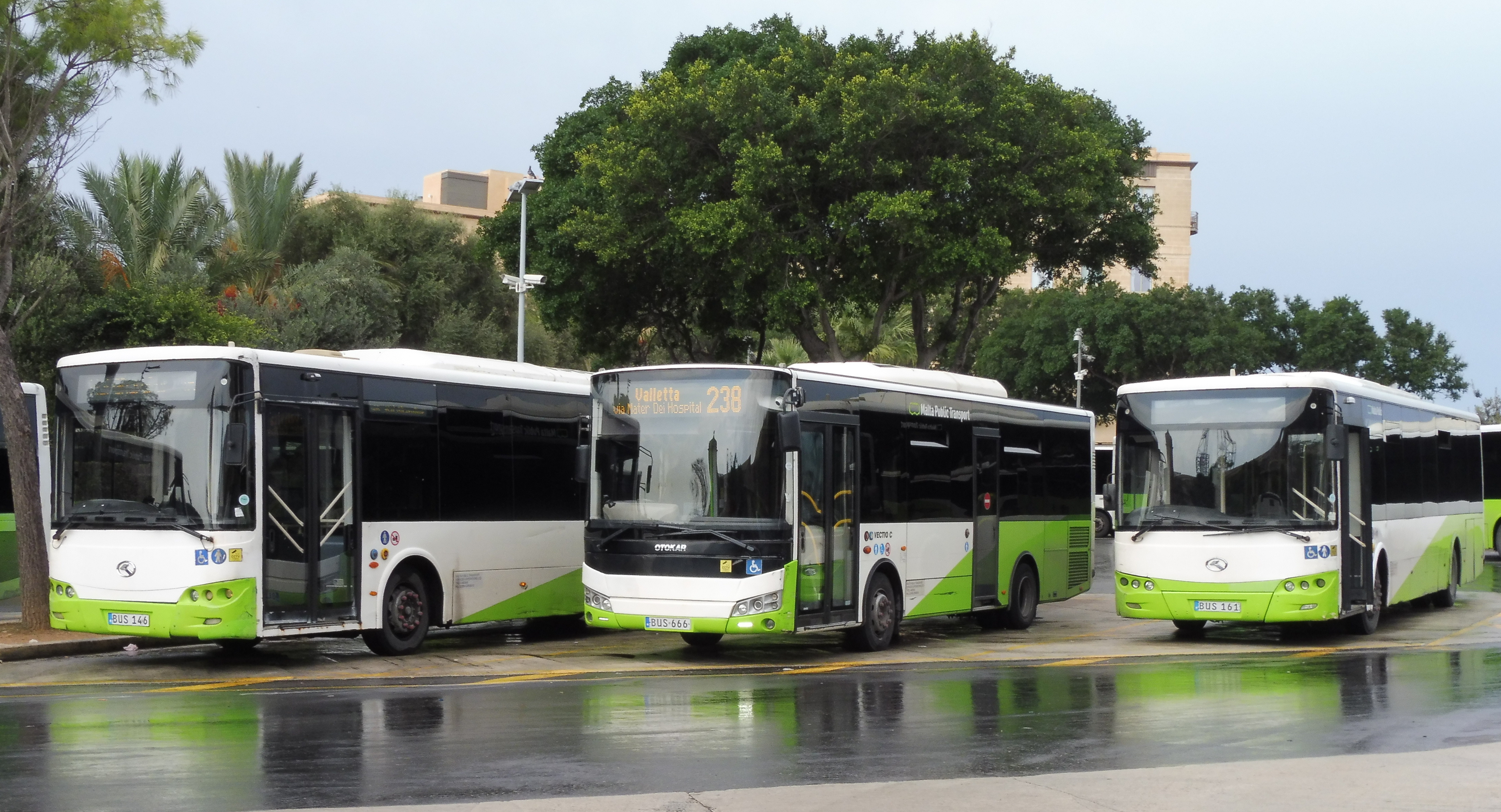 Xe buýt Otokar và King Long của Malta.