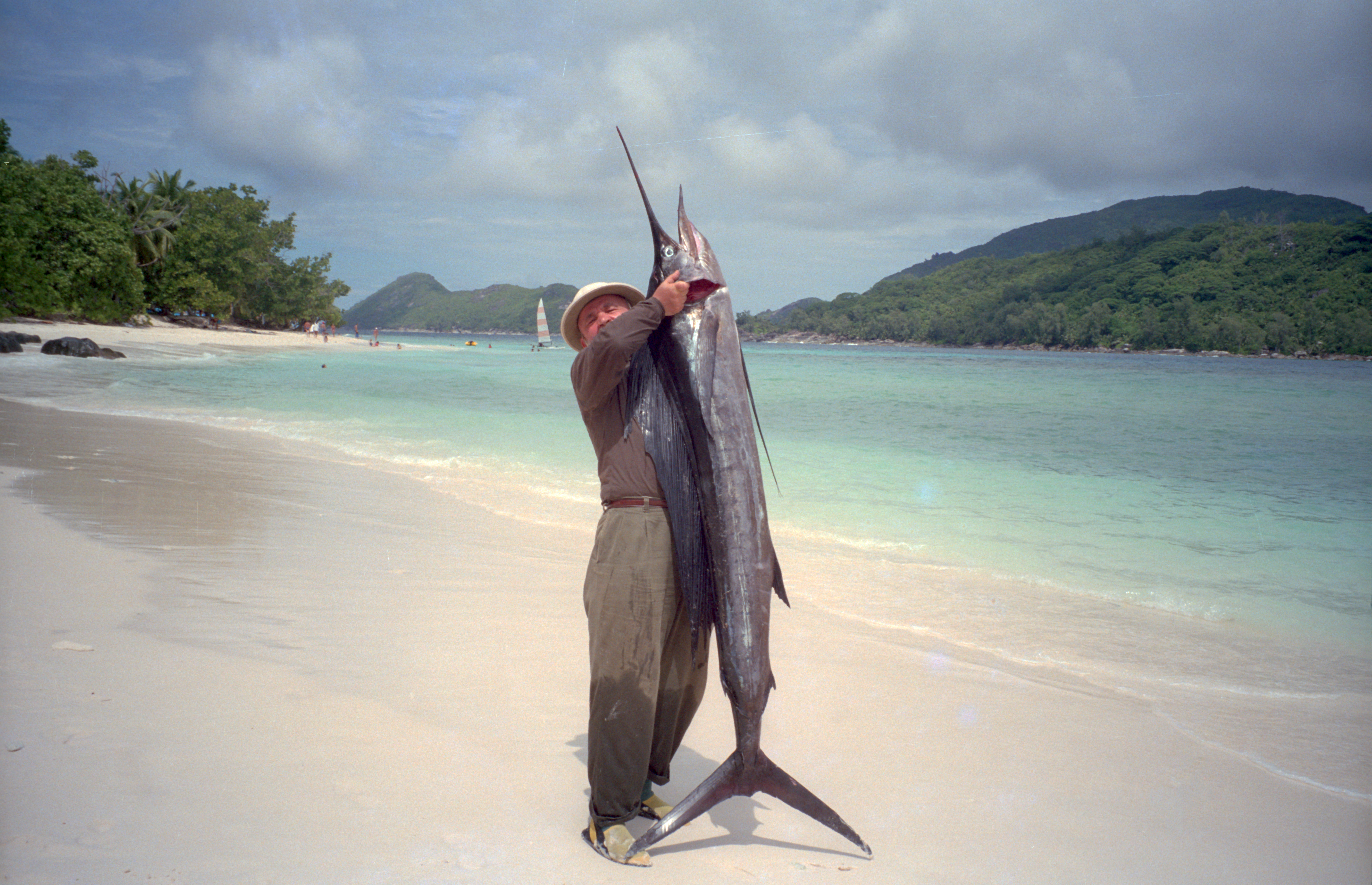 Ikan layaran di Pantai Mahé
