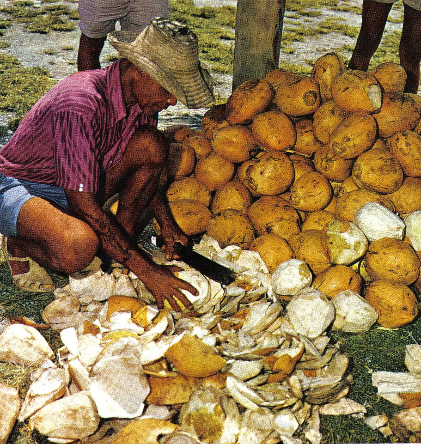 Membelah kelapa muda untuk diminum, Seychelles