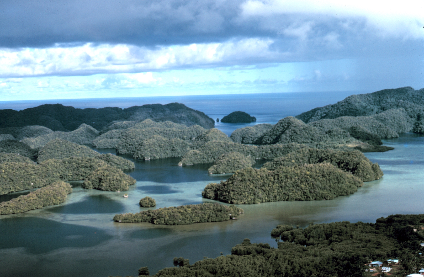 Pemandangan udara Kepulauan Rock, pulau-pulau batu kapur yang diliputi tumbuh-tumbuhan.