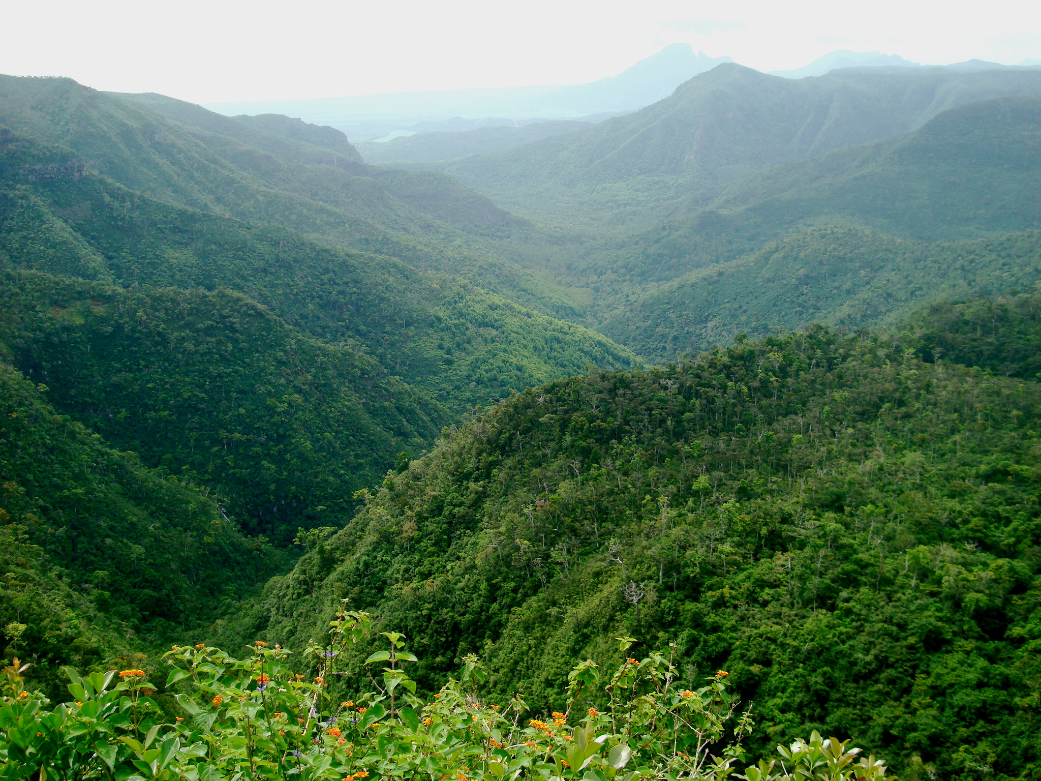 Taman Nasional Black River Gorges