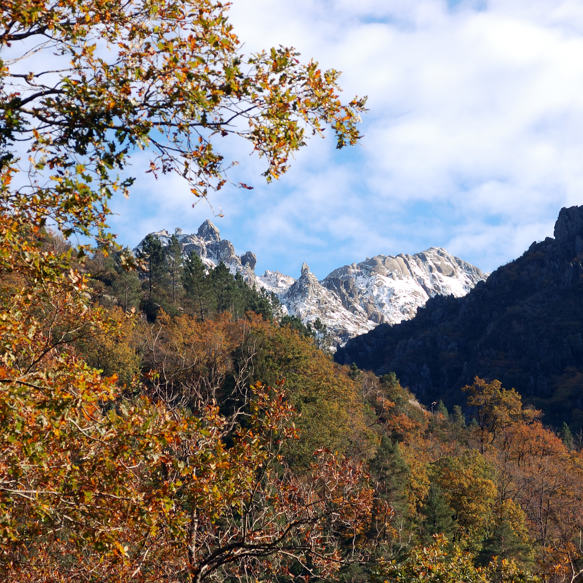 Taman Nasional Peneda-Gerês adalah satu-satunya taman yang ditunjuk secara nasional di Portugal, karena kelangkaan dan signifikansi lingkungannya.