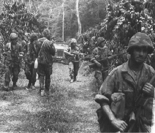 Pasukan Portugis selama Perang Kolonial Portugal, beberapa memuat senapan FN FAL, AR-10 dan H&K G3. Perang ini berlangsung di beberapa koloni Portugis di Afrika.
