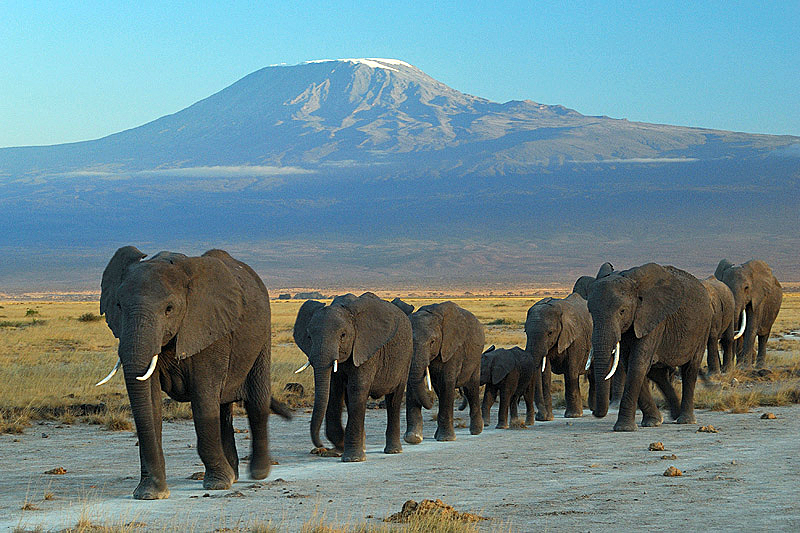 Vườn quốc gia Amboseli