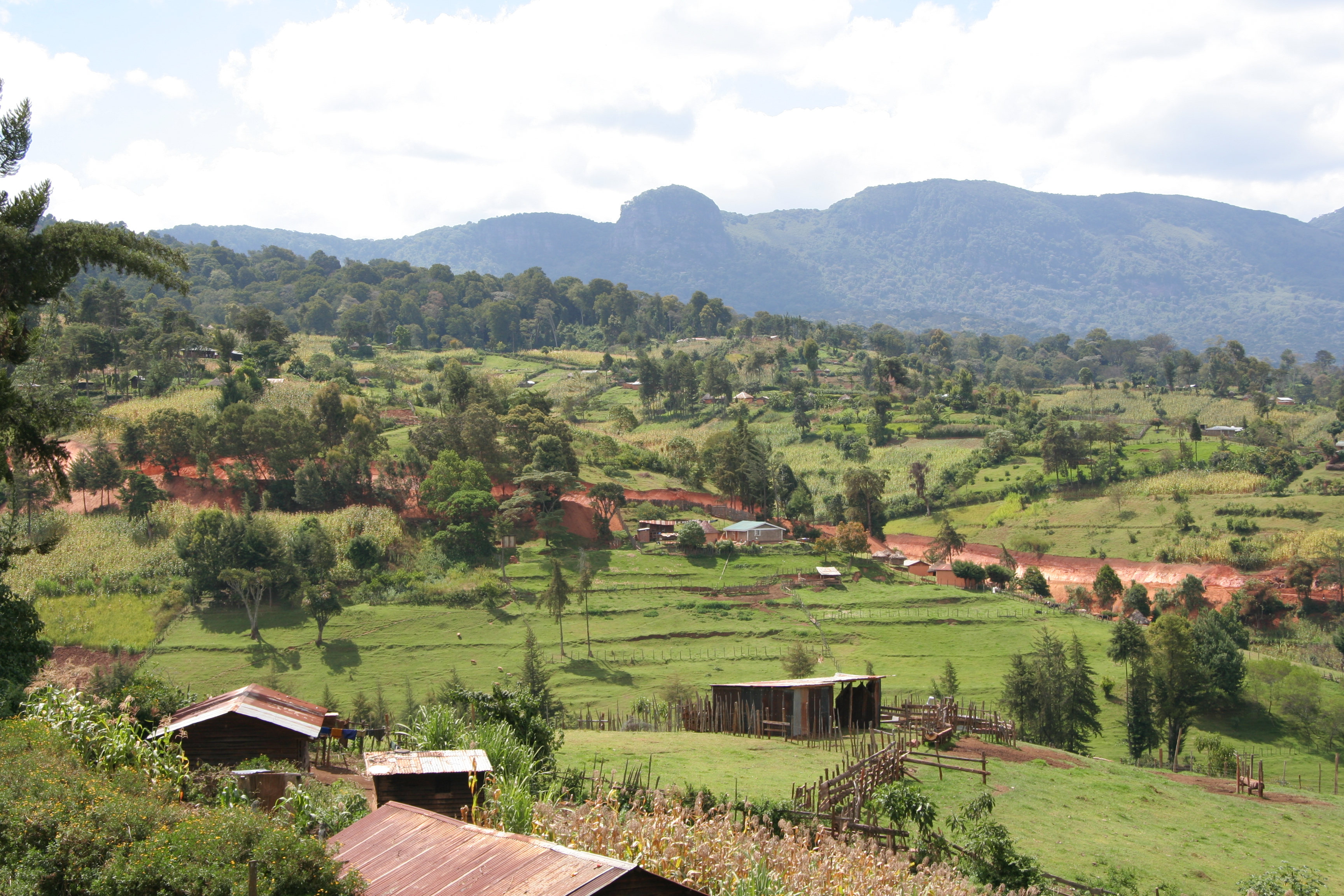 Cảnh quan nông nghiệp ở Kenya.