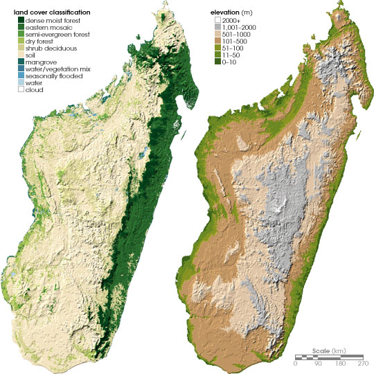Peta liputan darat (kiri) dan topografi (kanan) Madagaskar