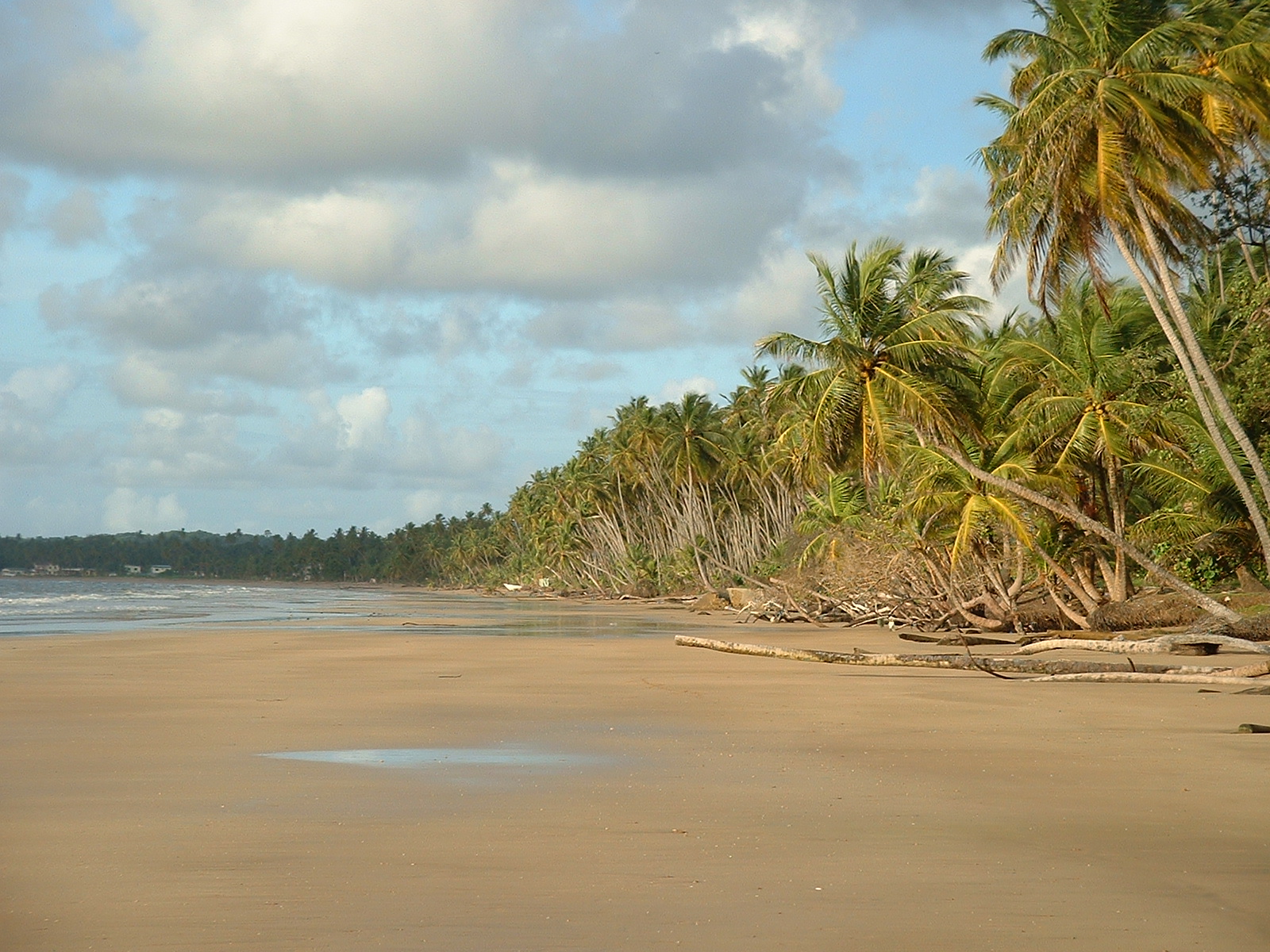 Pantai Mayaro, di wilayah tenggara Trinidad