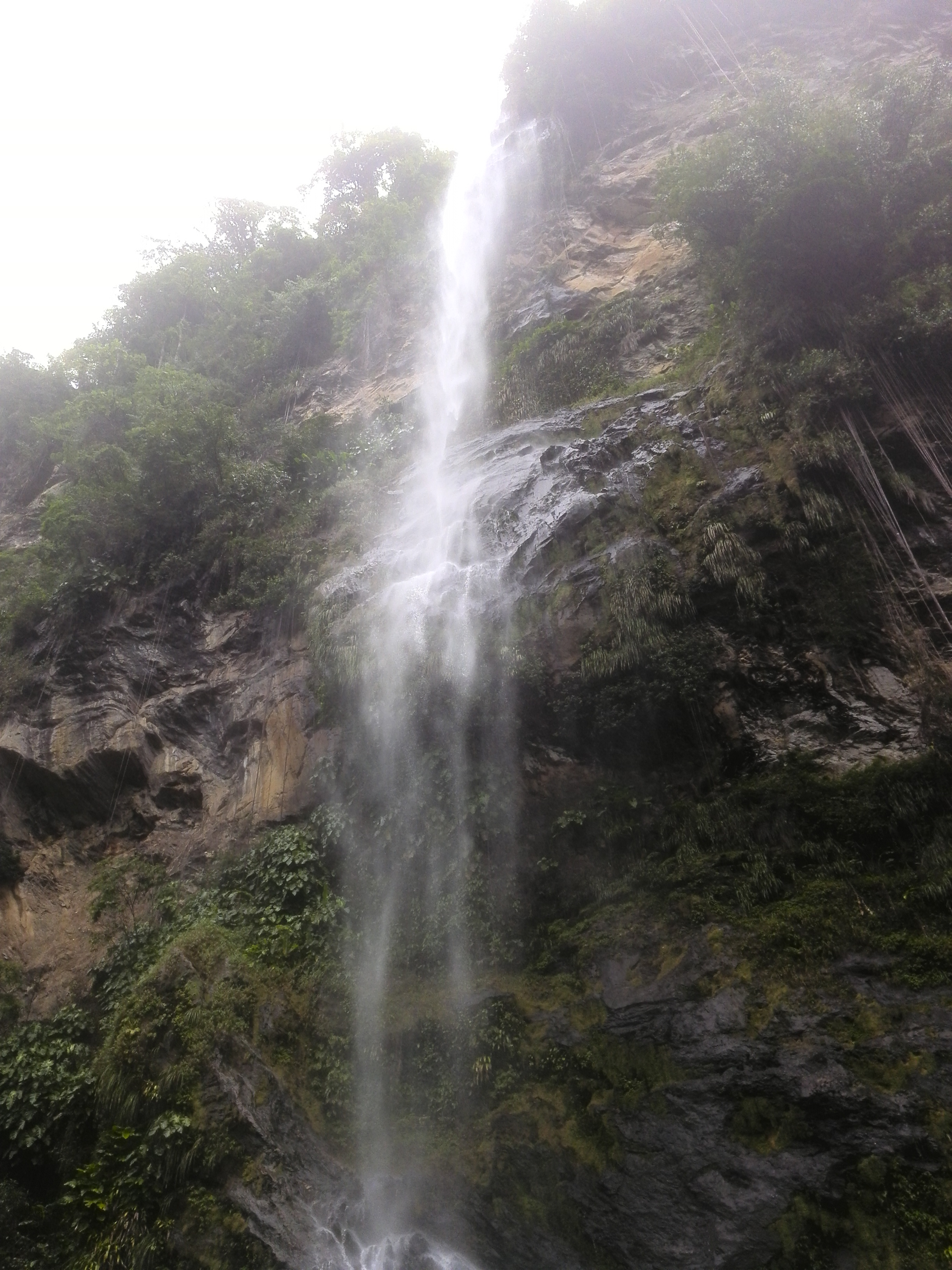 Air terjun Maracas, adalah air terjun setinggi lebih dari 90 meter, tertinggi di negara ini (lihat Lembah Maracas)