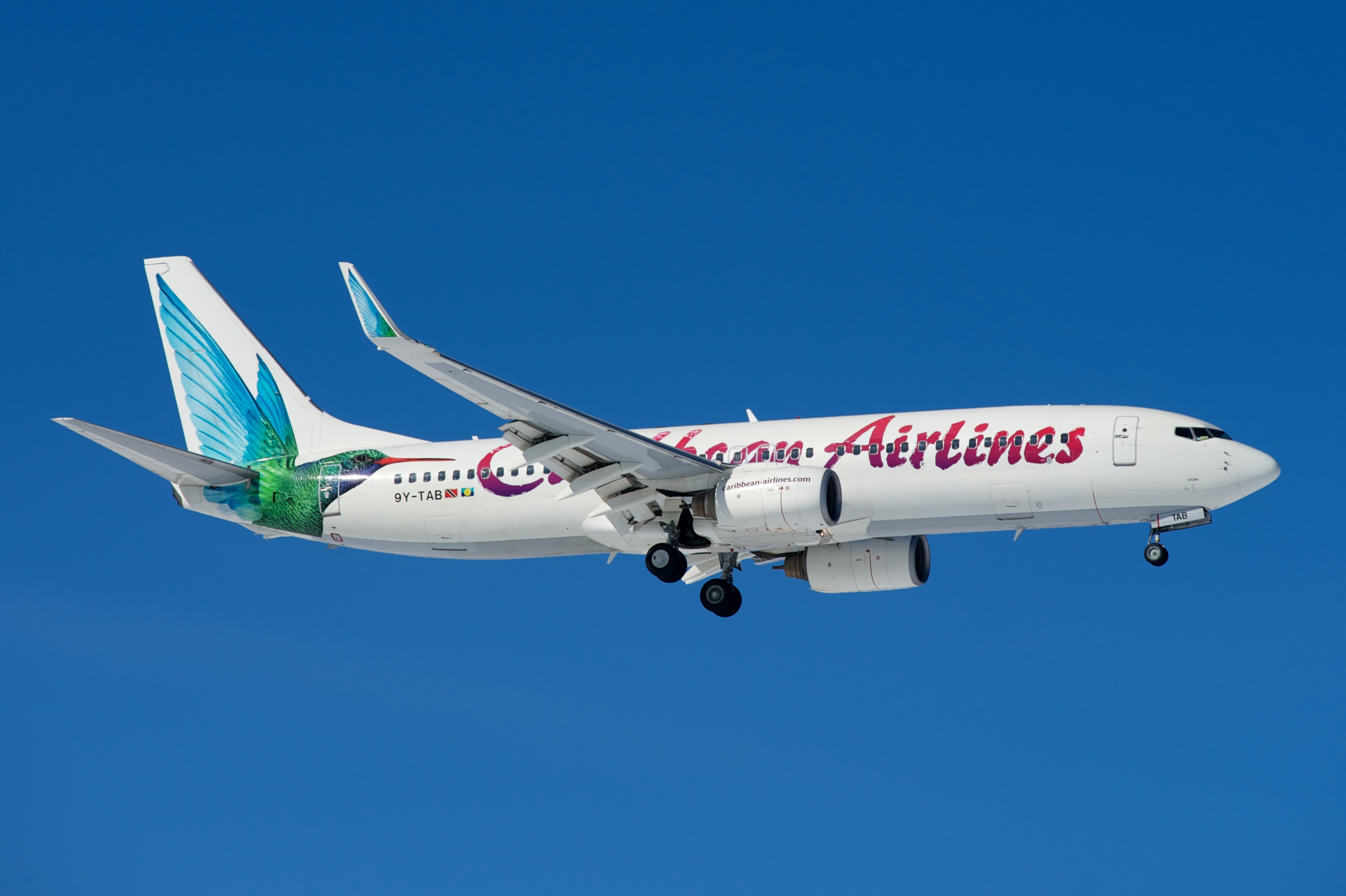 Maskapai penerbangan milik negara Caribbean Airlines adalah yang terbesar di kawasan ini.