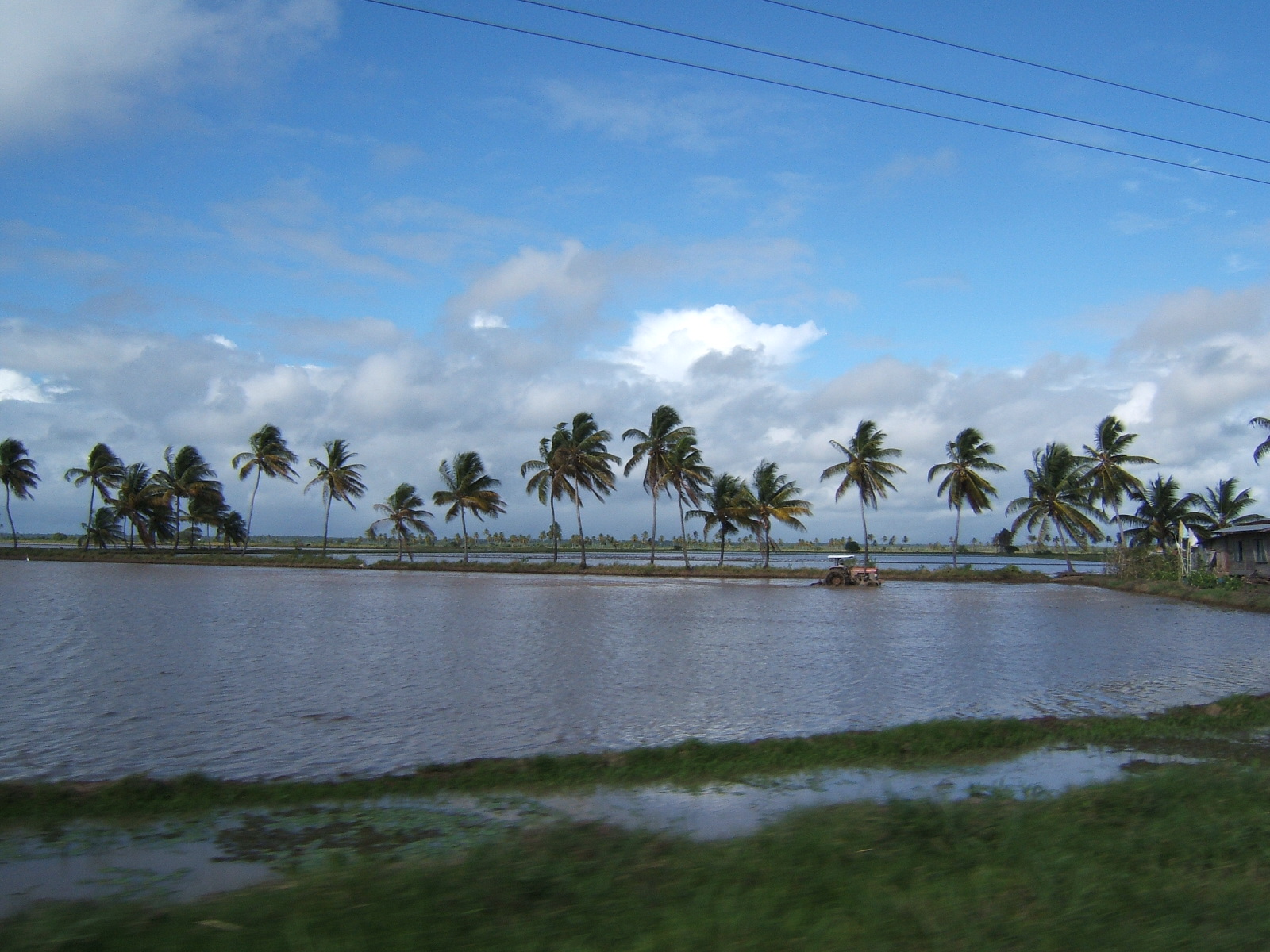Traktor di sawah di dataran pantai Guyana