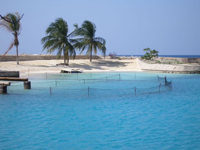 Bãi biển James Bond ở Oracabessa