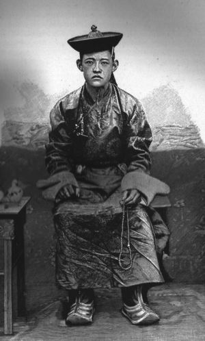 Jebtsundamba Khutuktu kelapan, Bogd Khaan
