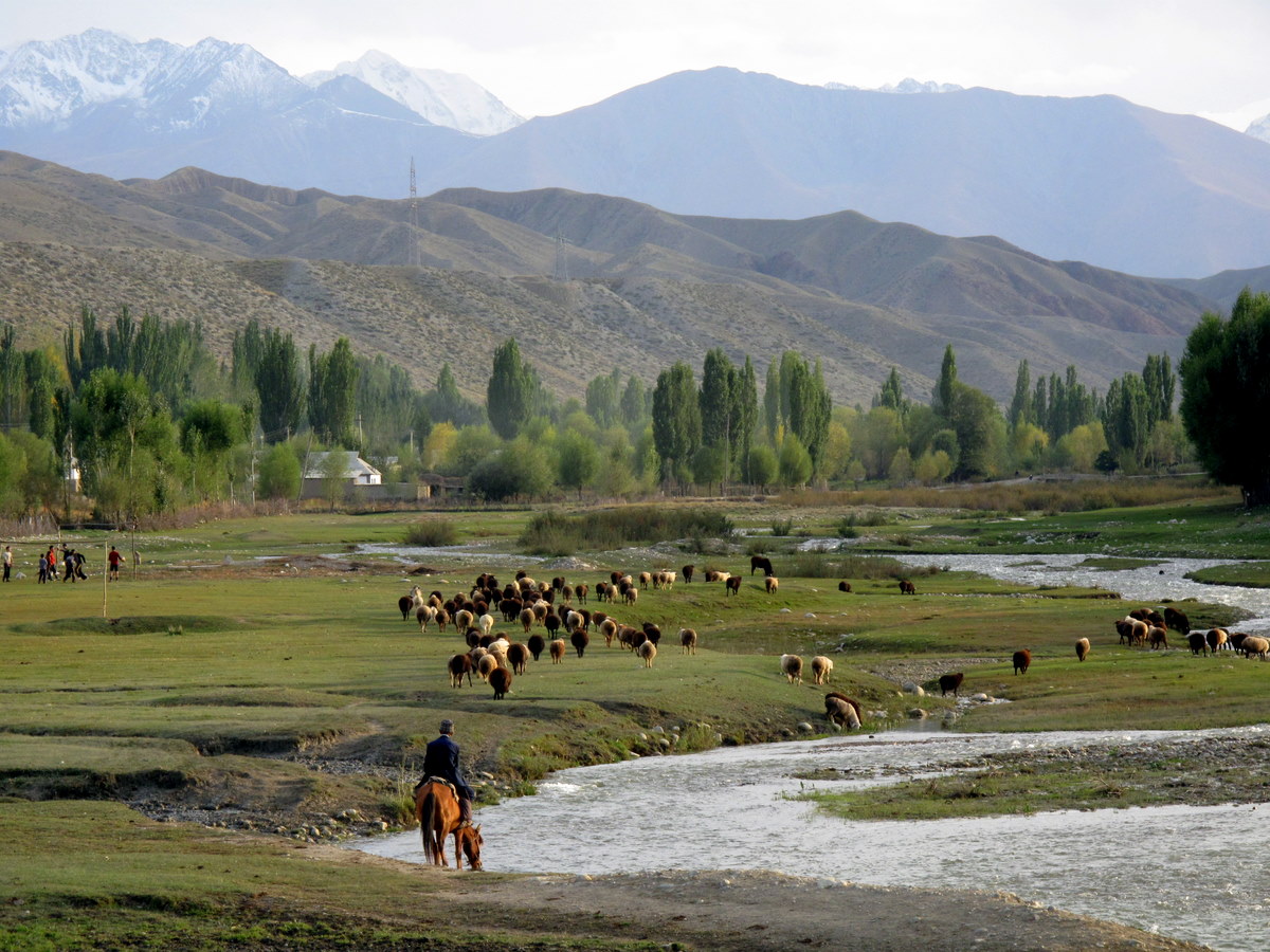 Di pantai selatan Danau Issyk Kul, Region Issyk Kul.