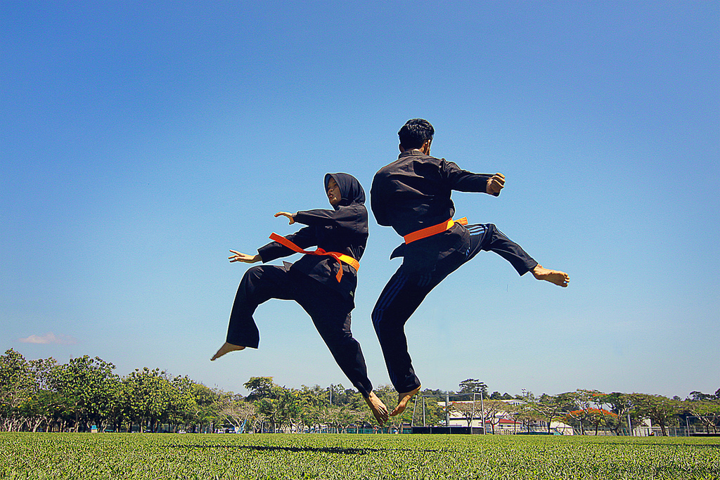 Sukan tradisional, seperti gaya seni mempertahankan diri Silat Melayu, masih wujud bersama sukan moden.