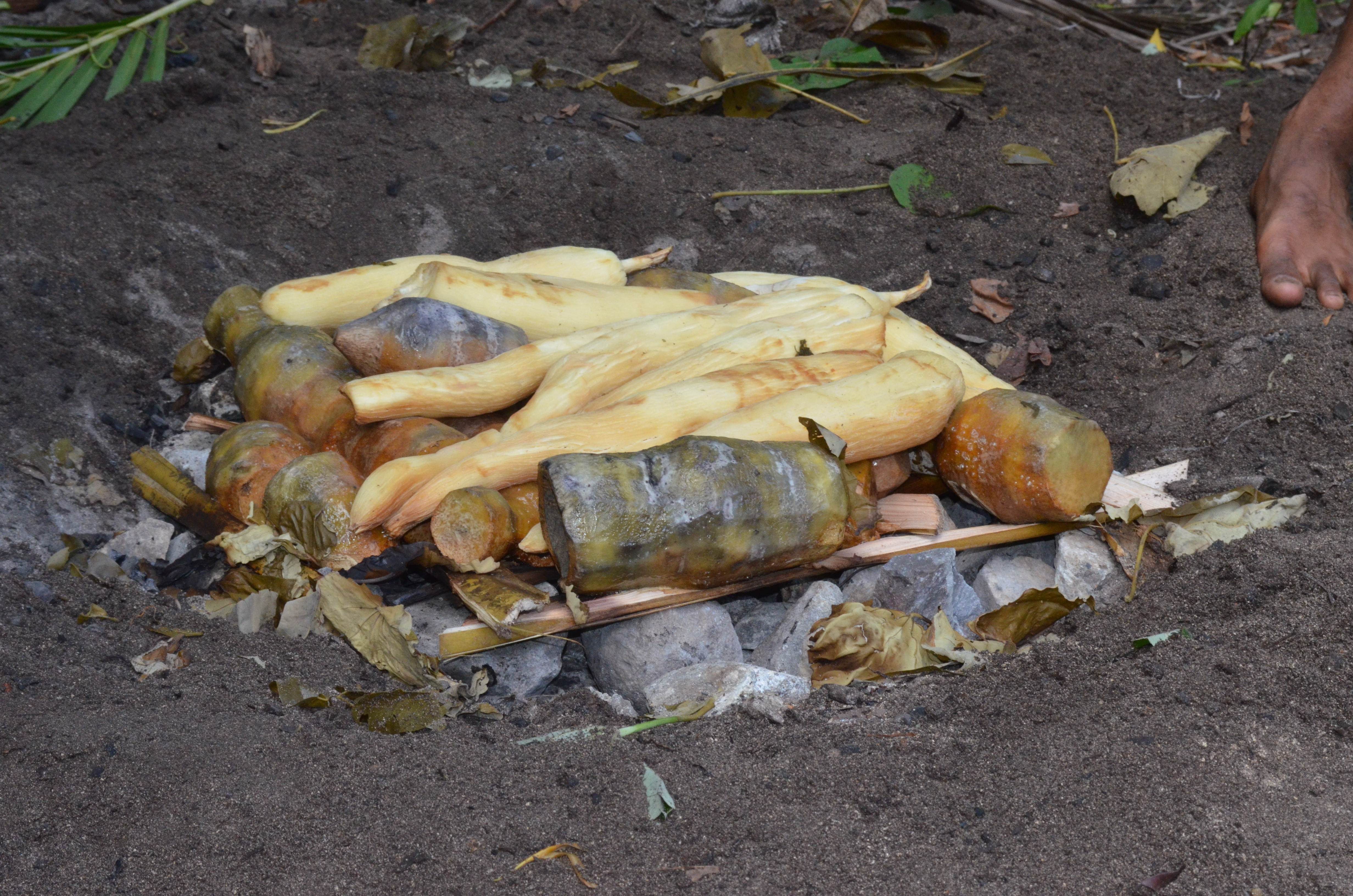 Một bữa ăn lovo truyền thống của Fiji đang được chuẩn bị