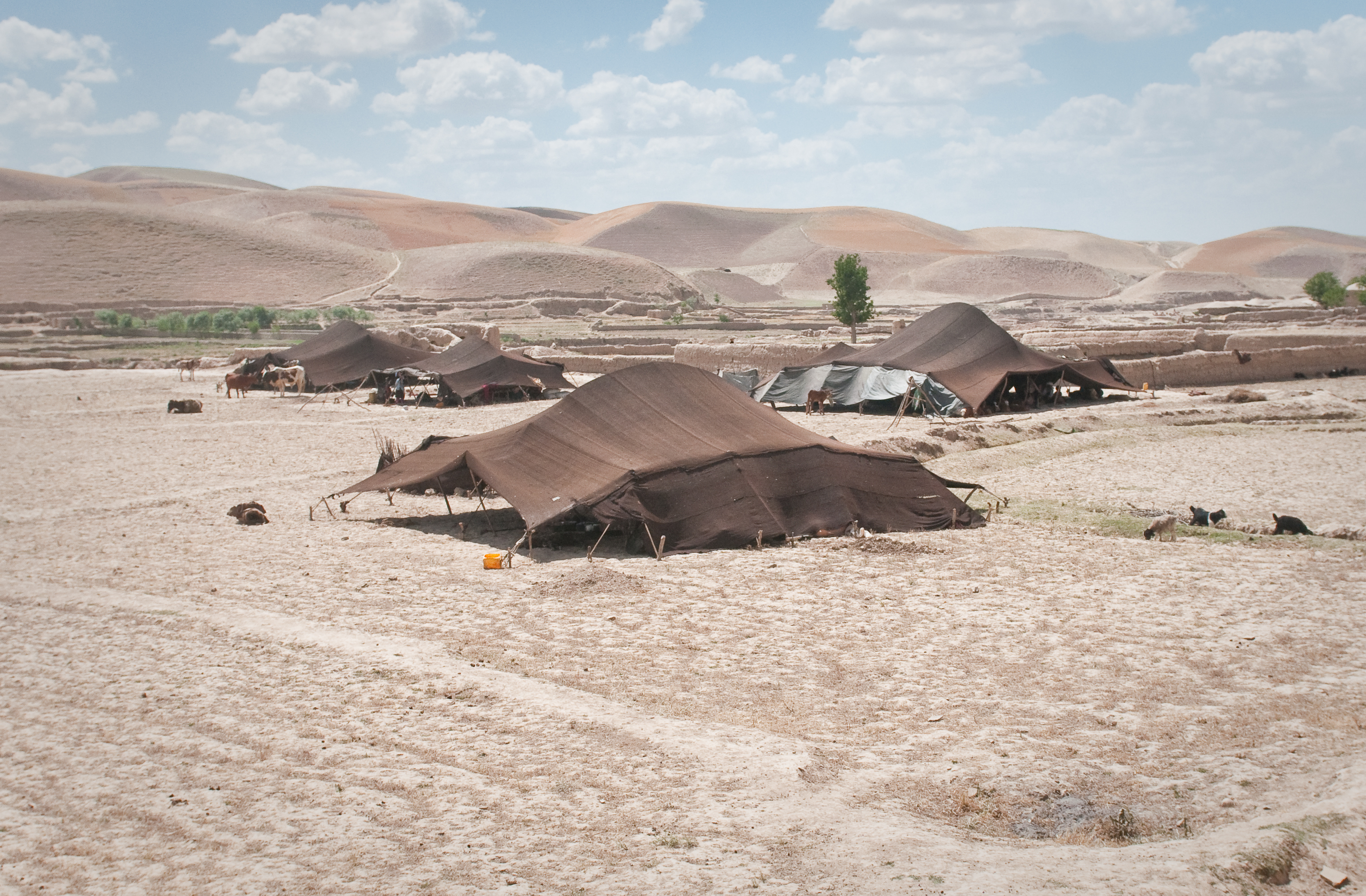 Khemah-khemah pengembala Afghan di utara Wilayah Badghis. Kampung-kampung pertanian awal wujud kira-kira 7,000 tahun dahulu.
