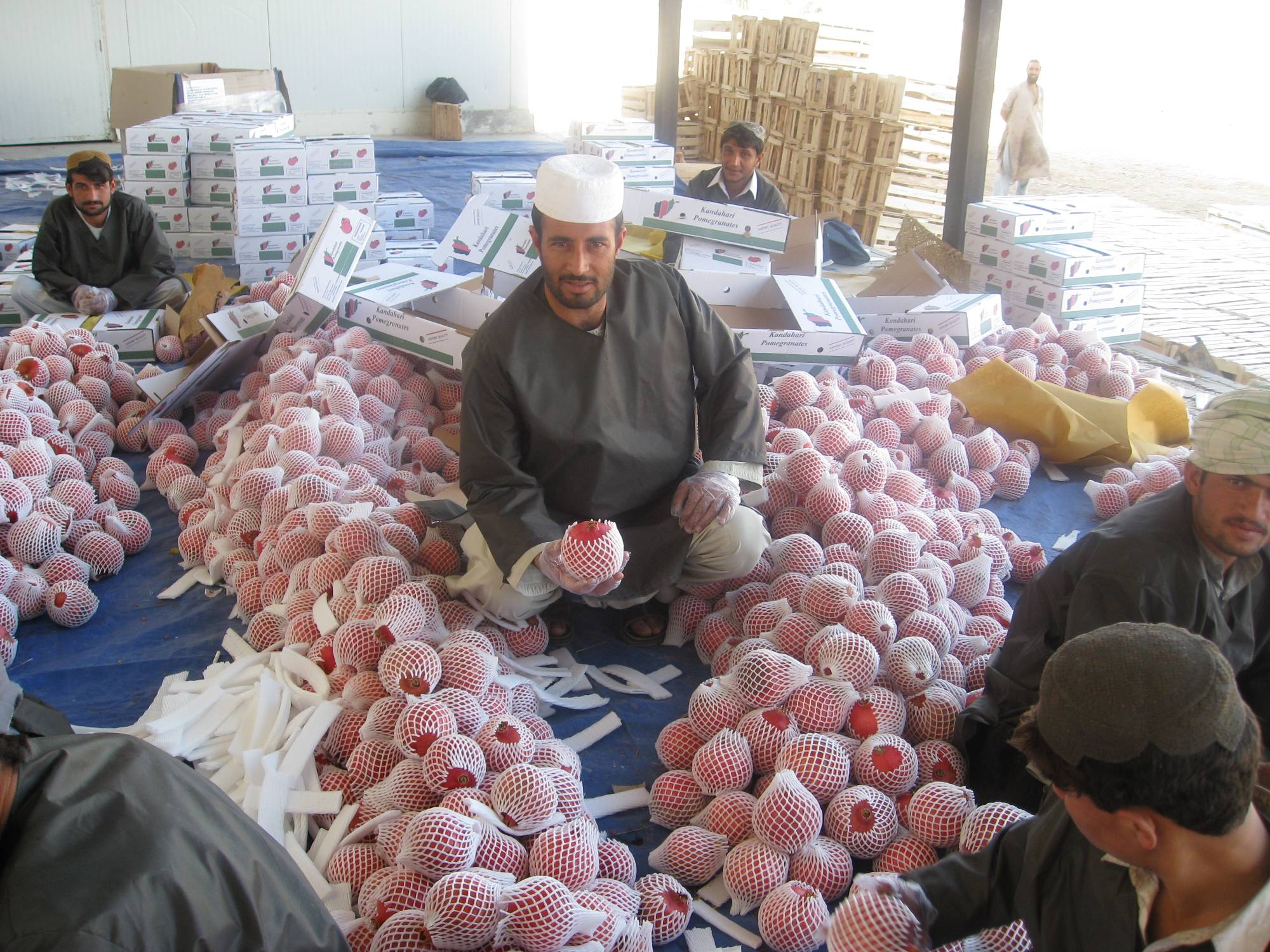 Pekerja memproses buah delima (anaar), yang mana Afghanistan terkenal di Asia