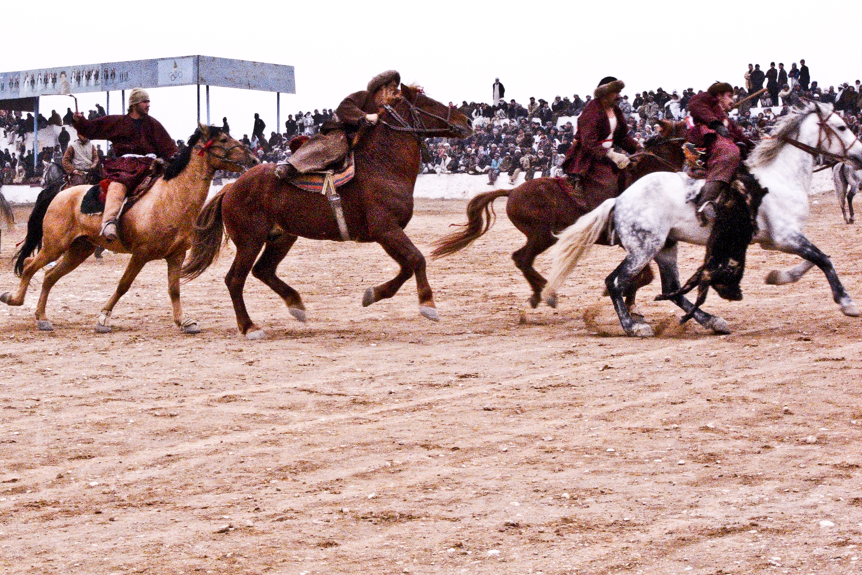 Sukan kebangsaan purba Afghanistan, Buzkashi
