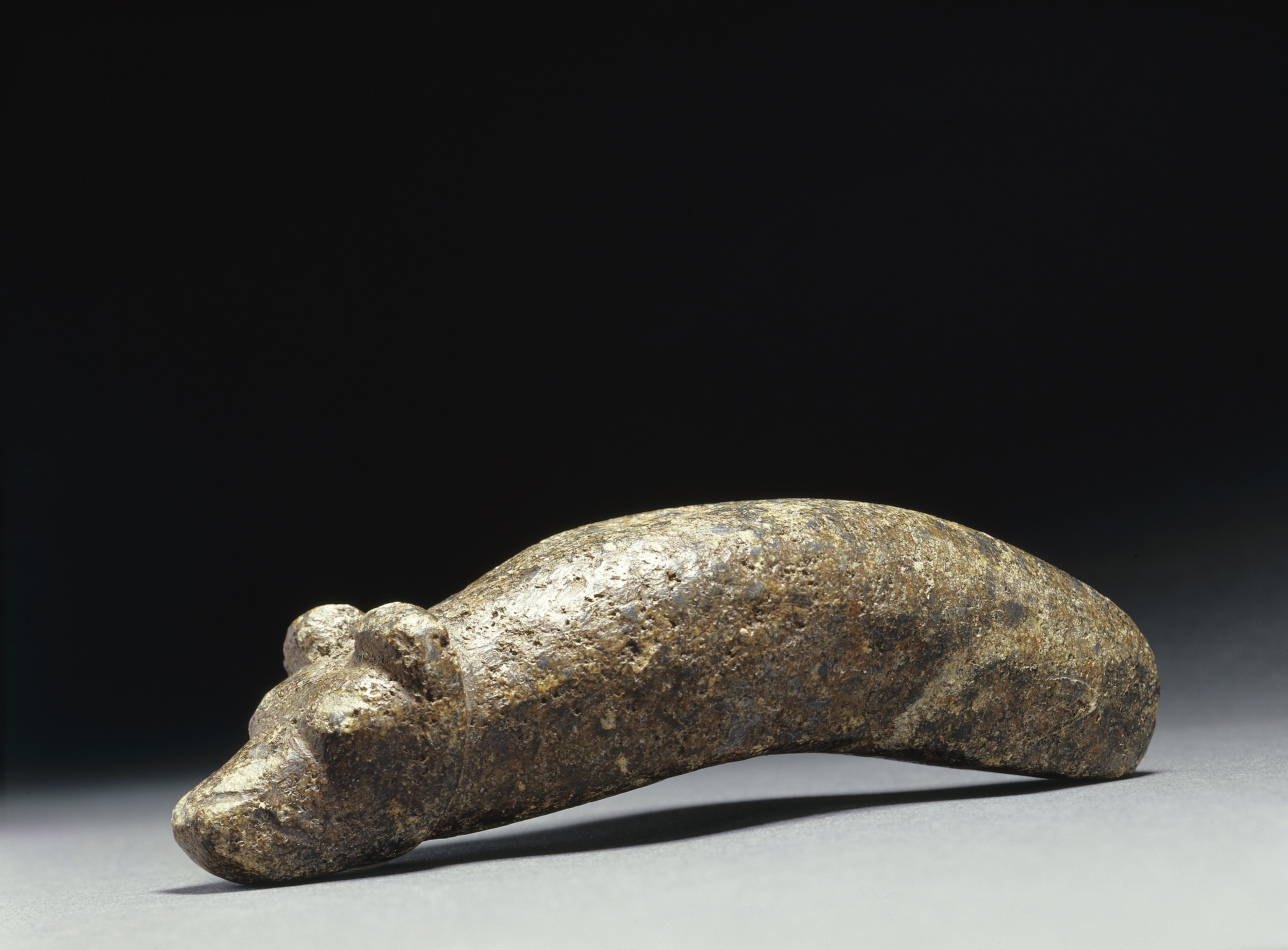 パルタモで発見された石器時代の熊の頭の形をした儀式用の槌