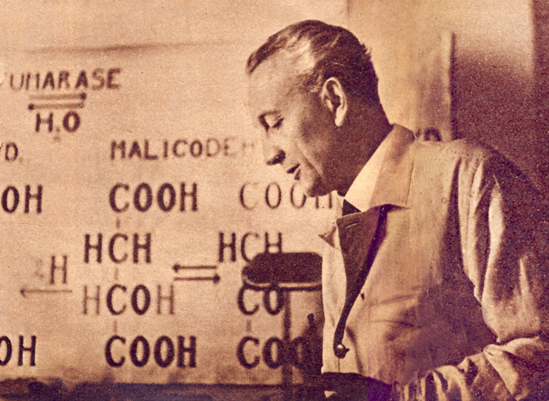 Albert Szent-Györgyi memenangkan Hadiah Nobel Fisiologi atau Kedokteran untuk penemuannya tentang Vitamin C. Hadiah Nobel telah diberikan kepada 15 orang Hungaria.