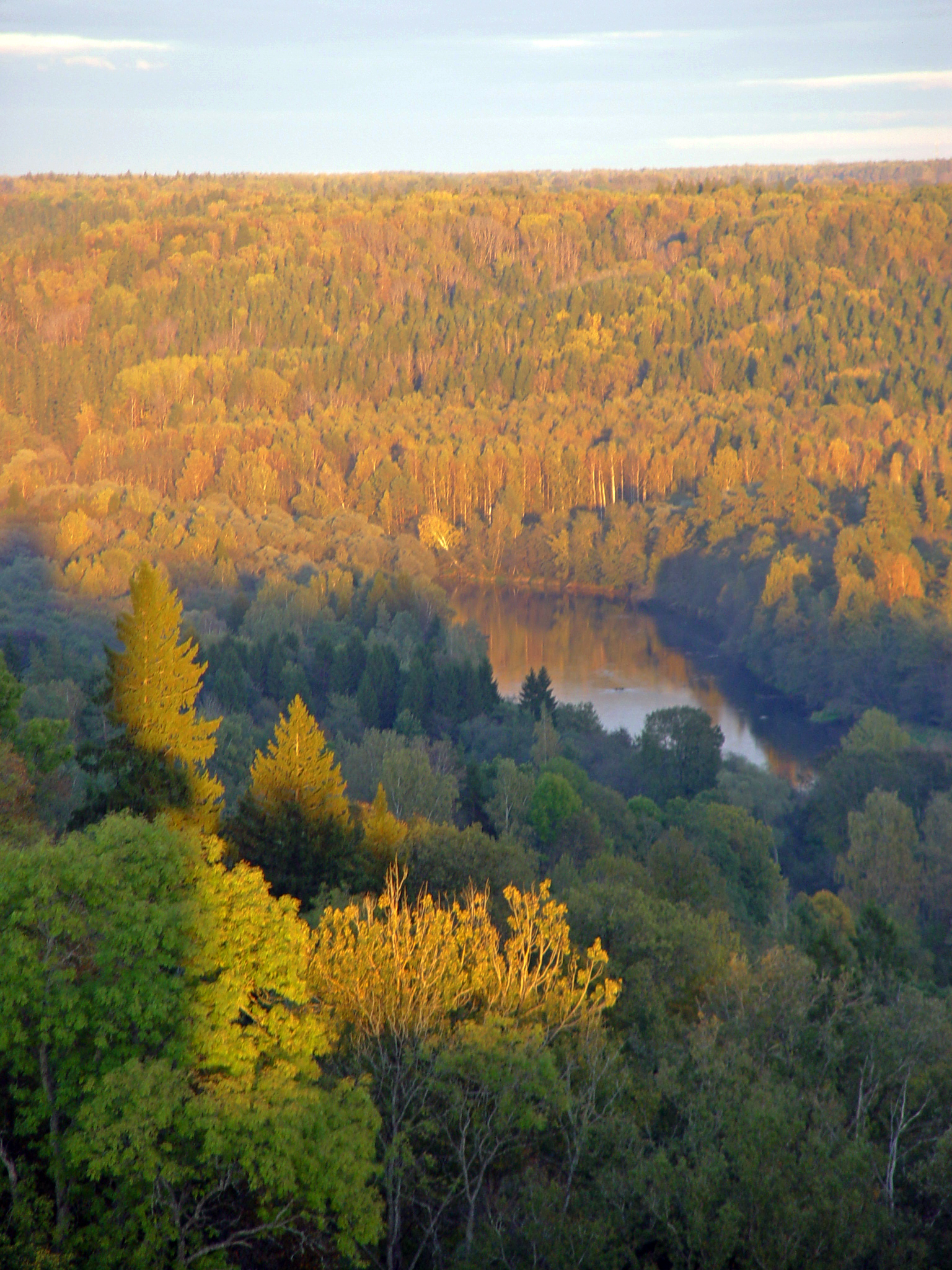 Latvia mempunyai perkadaran kelima tertinggi tanah yang diliputi hutan di Kesatuan Eropah.
