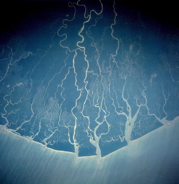 Gambar udara anak sungai Delta Niger