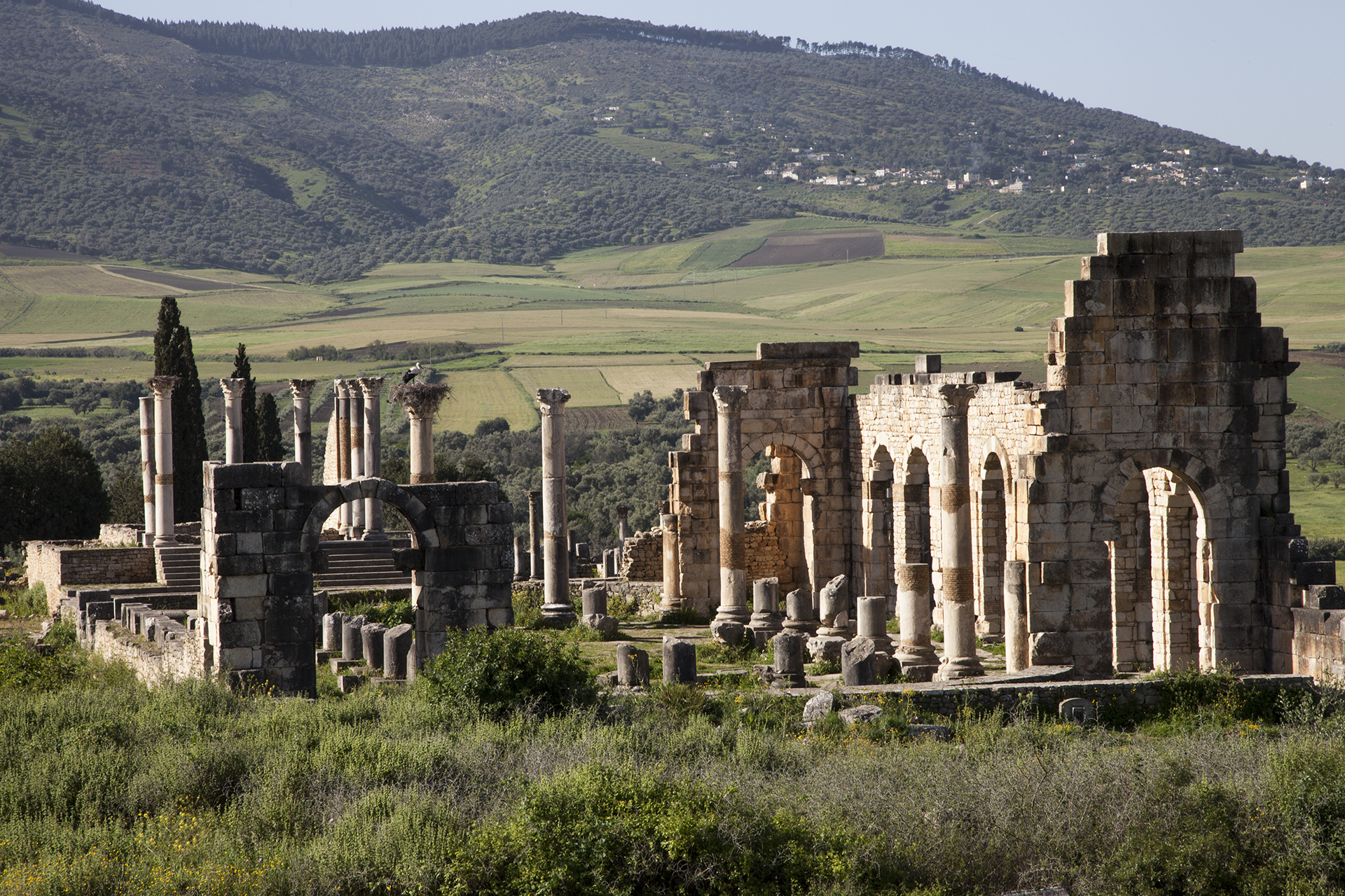 Runtuhan Rom di Volubilis