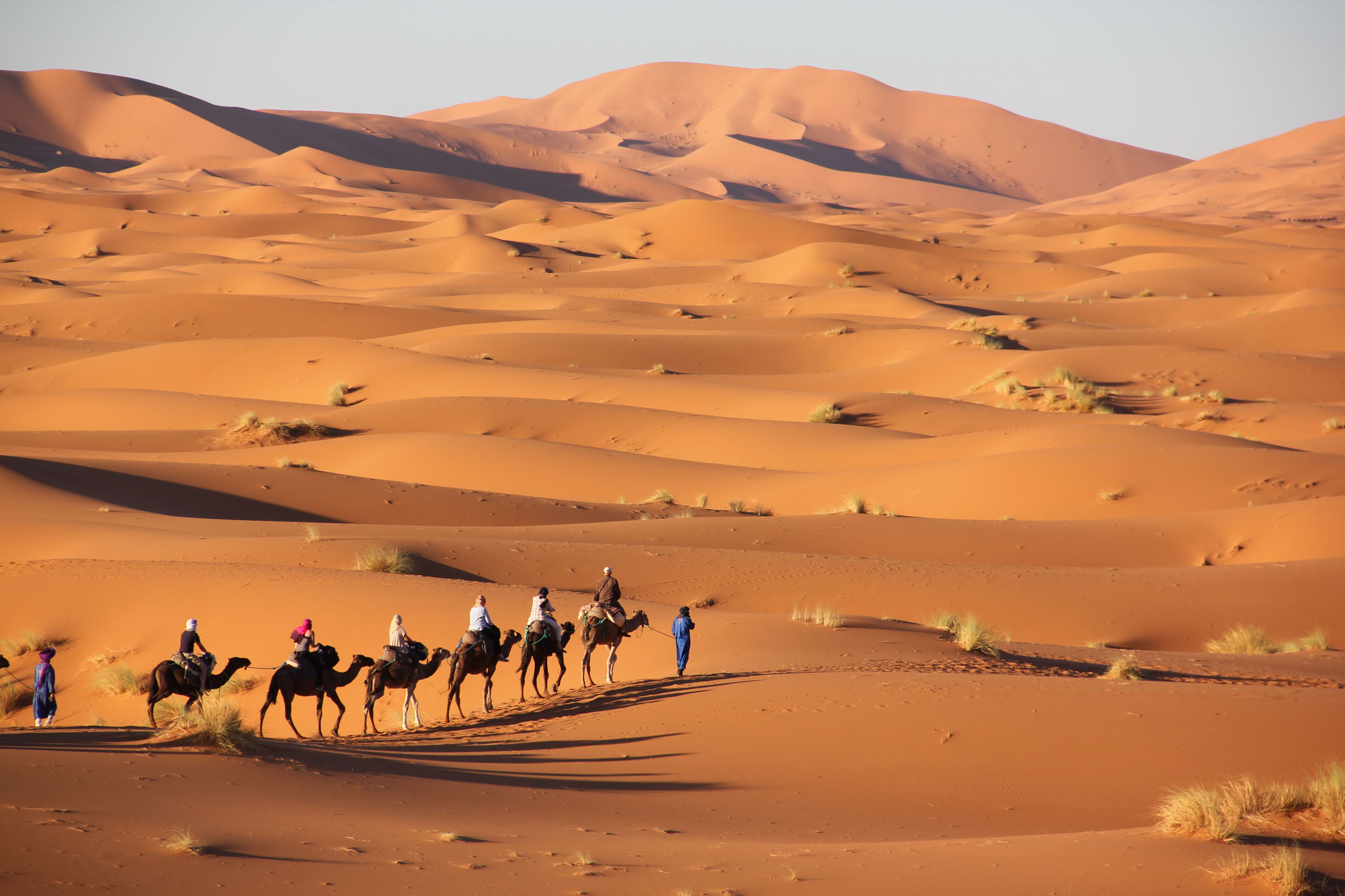 Landskap Erg Chebbi