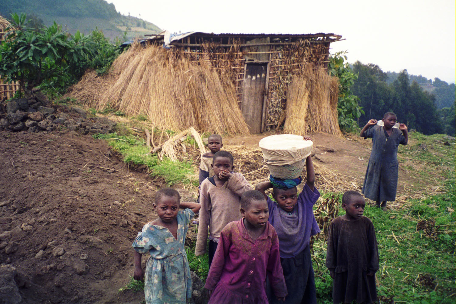 alt=Foto menggambarkan tujuh anak pedesaan, dengan rumah jerami dan lahan pertanian di latar belakang, diambil di Taman Nasional Gunung Berapi pada tahun 2005