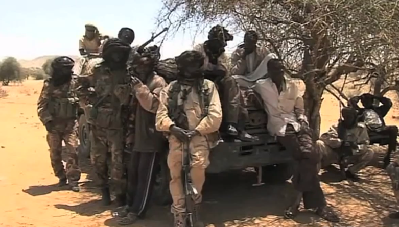 Lực lượng dân quân chính phủ ở Darfur