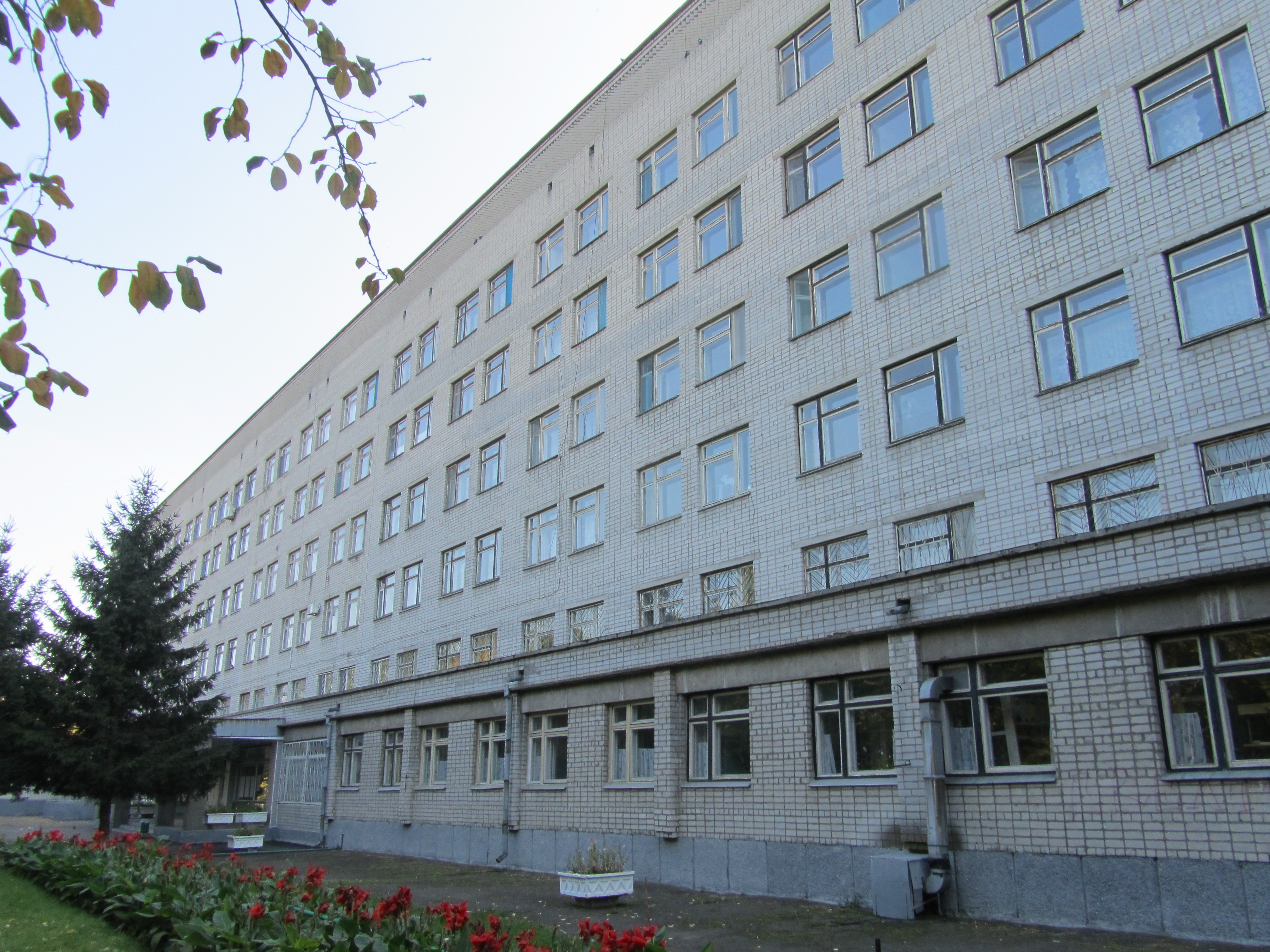 Bệnh viện nhi thành phố ở Kremenchuk, Tỉnh Poltava