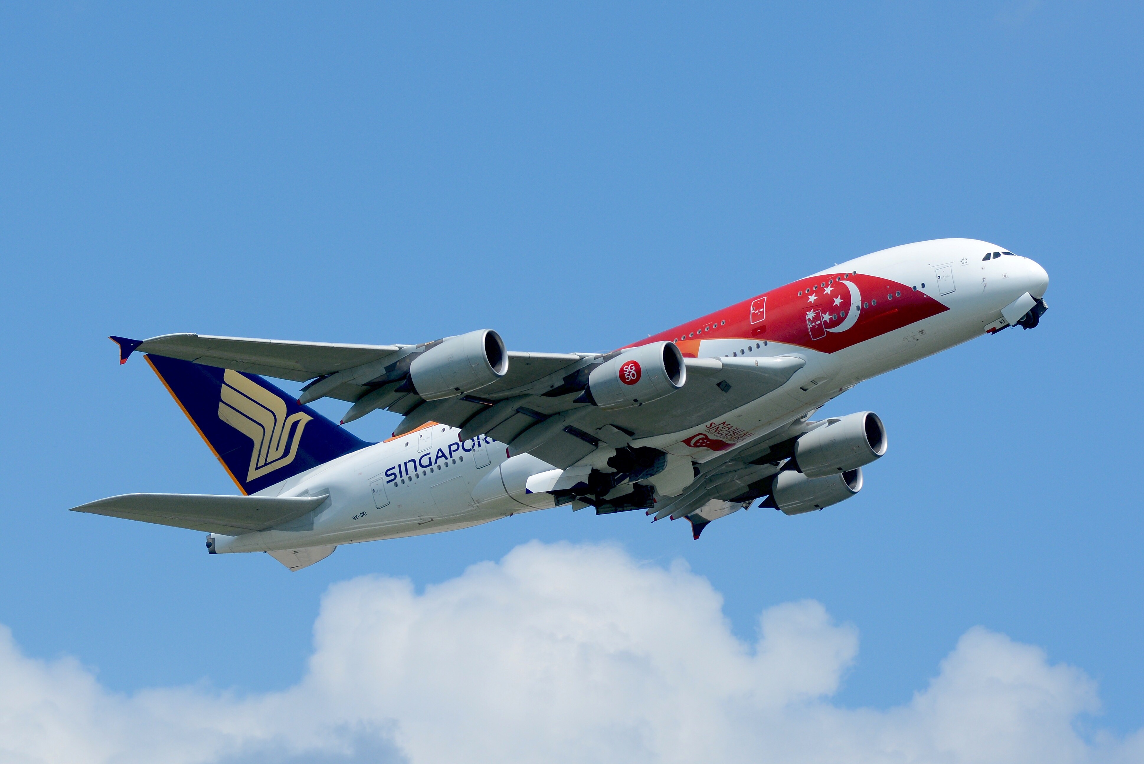 Singapore Airlines, maskapai penerbangan nasional negara itu, merayakan Yobel Emas negara itu pada tahun 2015 dengan livery bendera pada Airbus A380-nya.