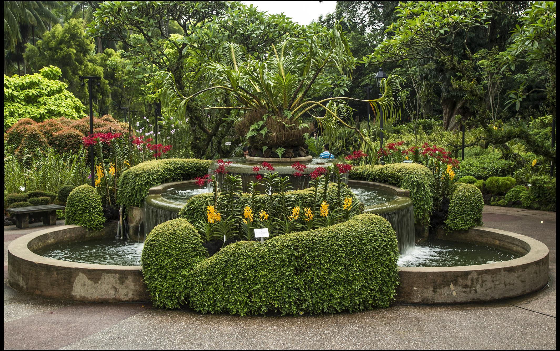 Kebun Raya Singapura adalah Situs Warisan Dunia UNESCO - salah satu dari tiga kebun di dunia, dan satu-satunya kebun tropis, yang diakui demikian.