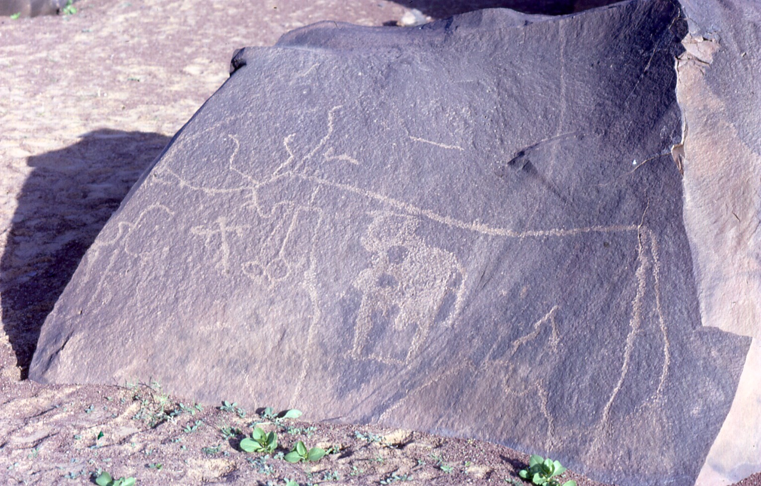 Seni batu di Gurun Sahara