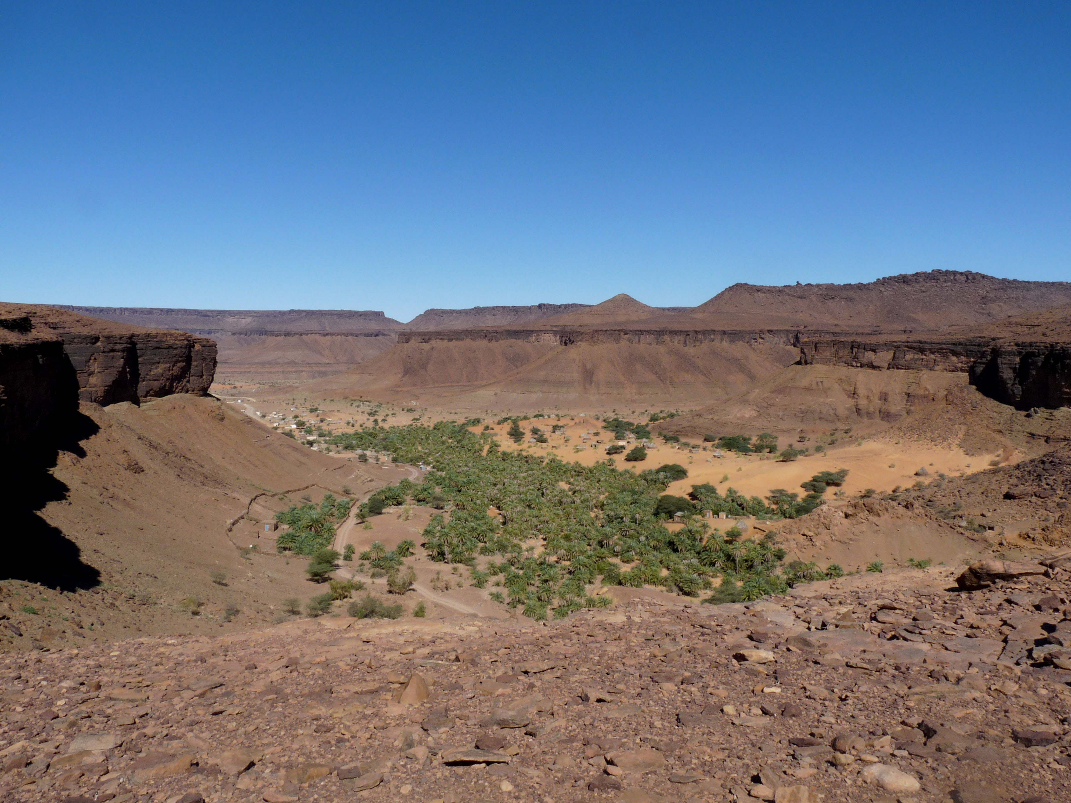 Oasis Terjit di Wilayah Adrar