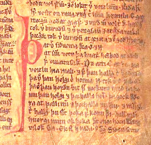 Satu halaman Njáls saga daripada Möðruvallabók. Saga-saga merupakan warisan penting Iceland.