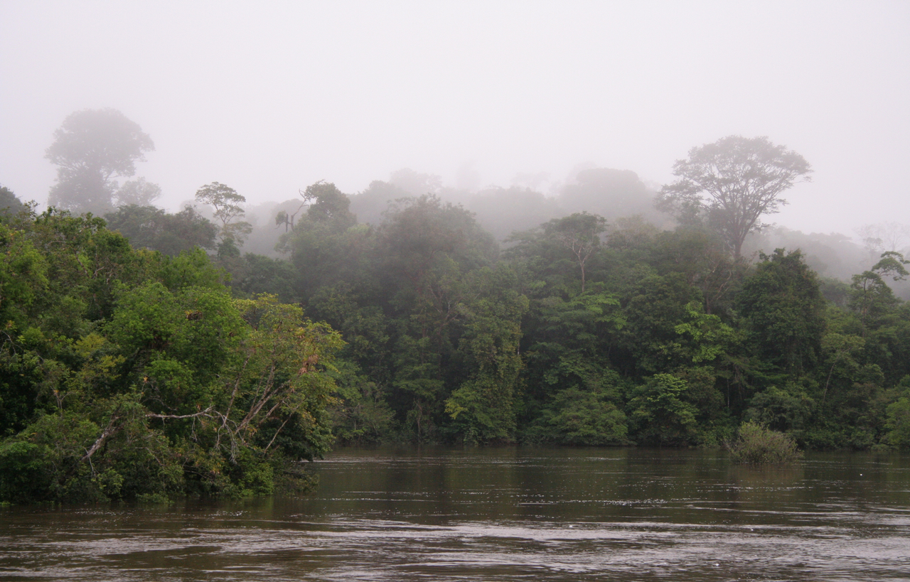 Sungai Coppename, salah satu dari banyak sungai di pedalaman