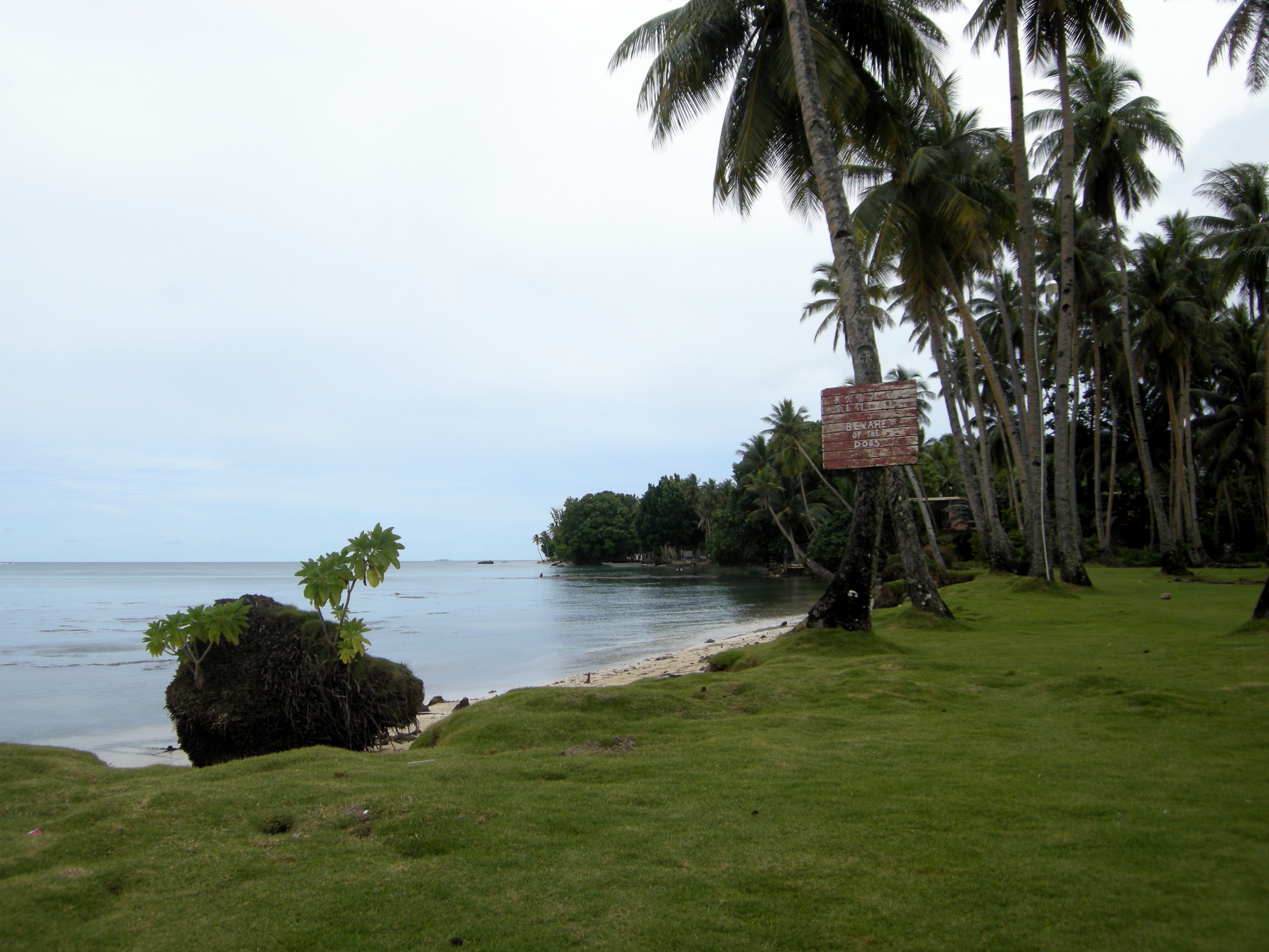 Sebuah pantai di Weno, Chuuk. Bahasa Chuuk adalah salah satu bahasa Austronesia yang paling banyak penuturnya di FSM.