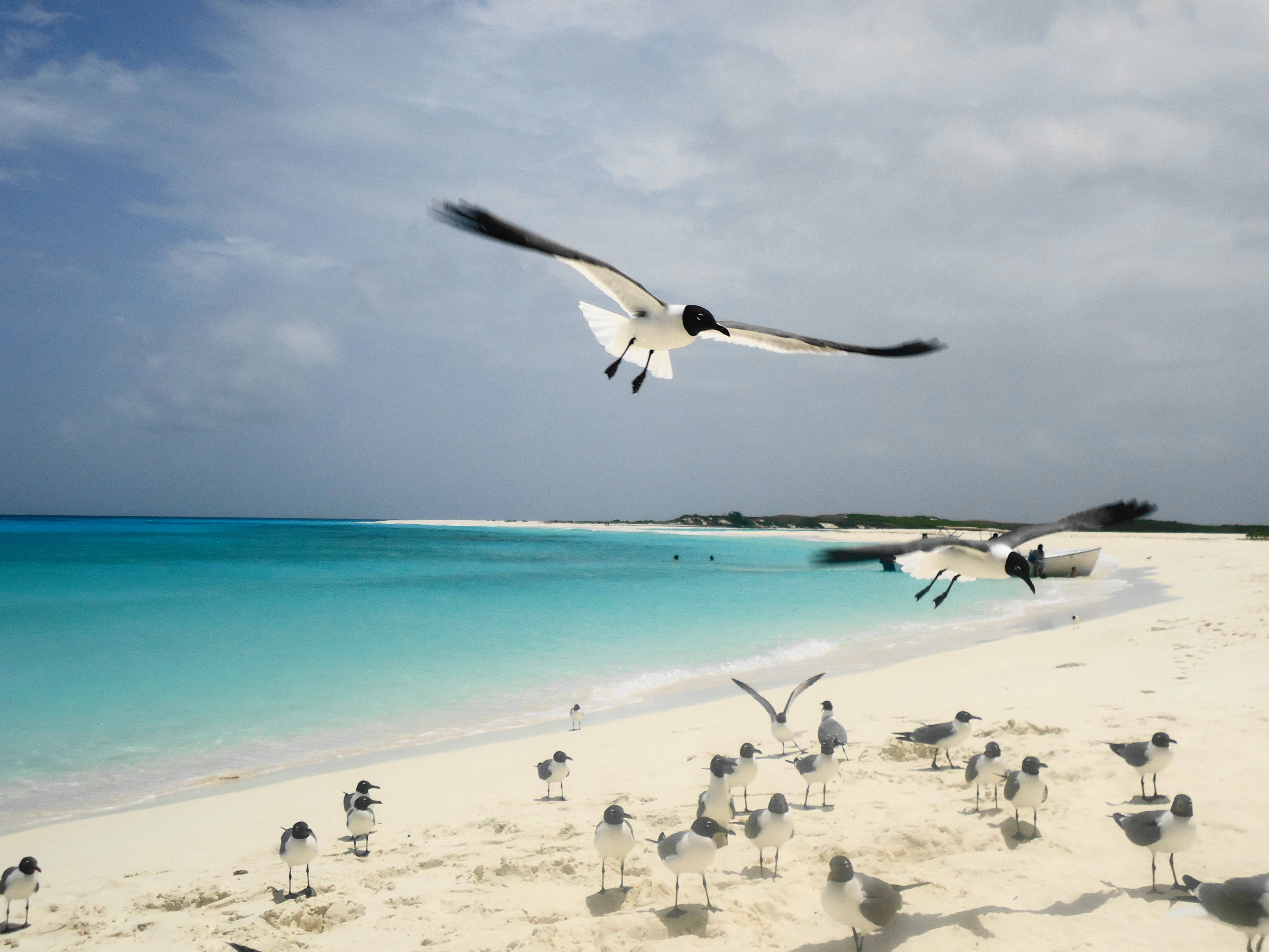 Cayo de Agua, Kepulauan Los Roques, Laut Caribbean