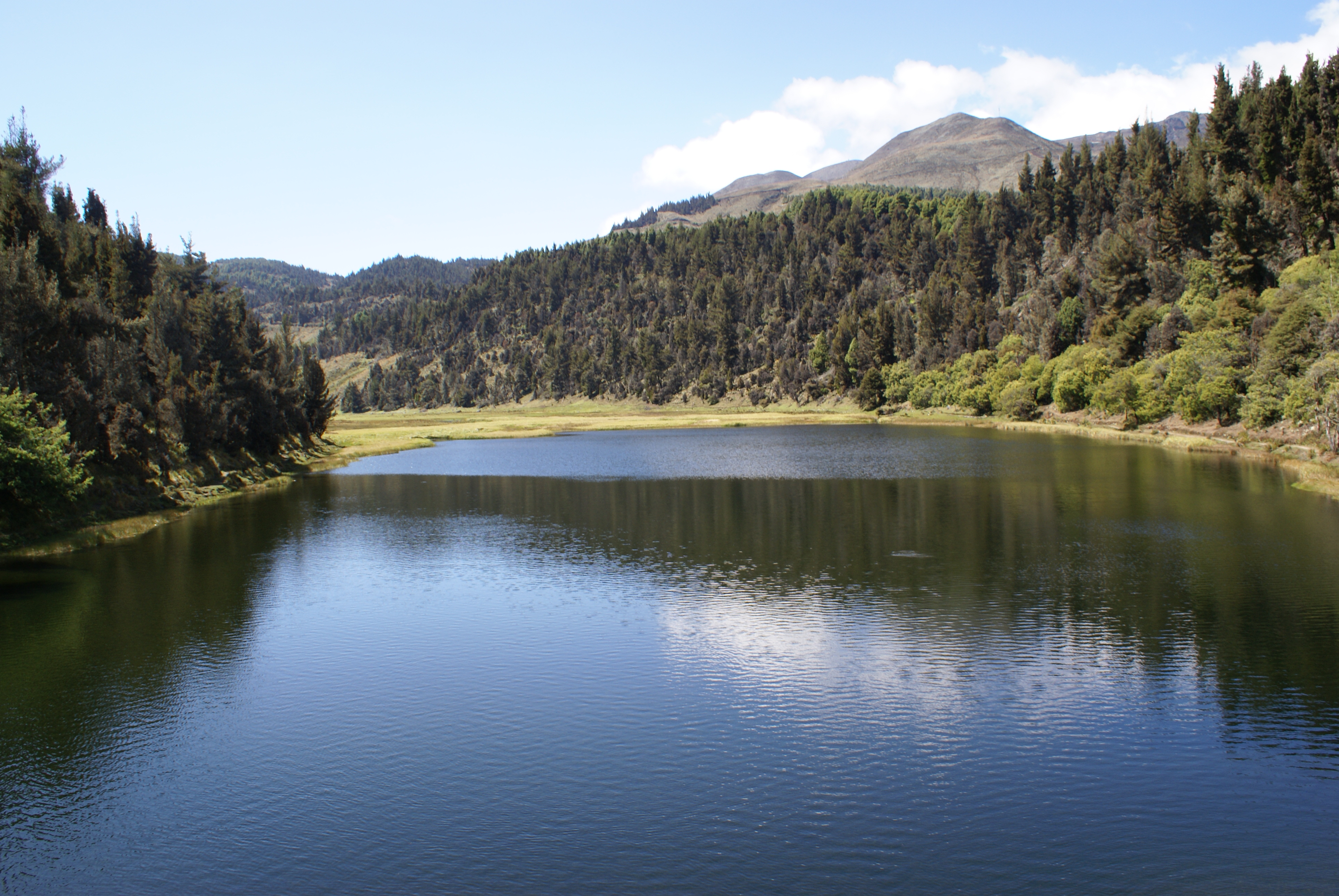Laguna Victoria, Negara Bagian Mérida.
