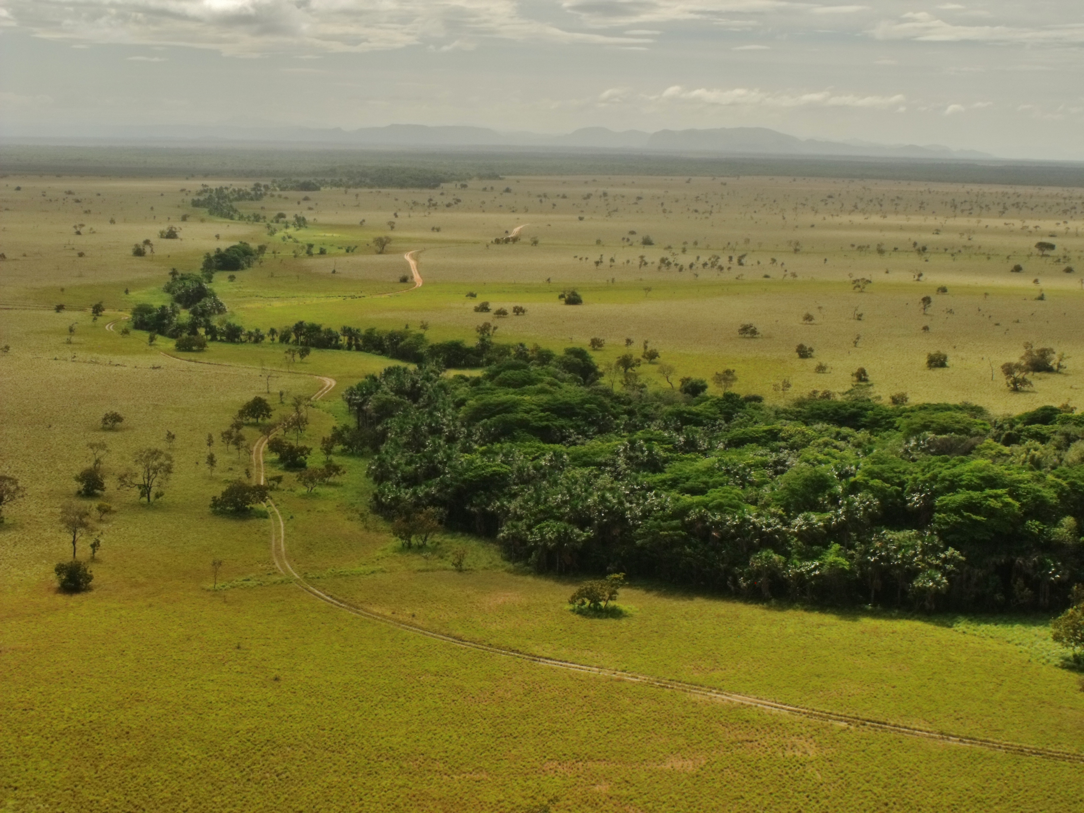 Los Llanos, negeri Apure