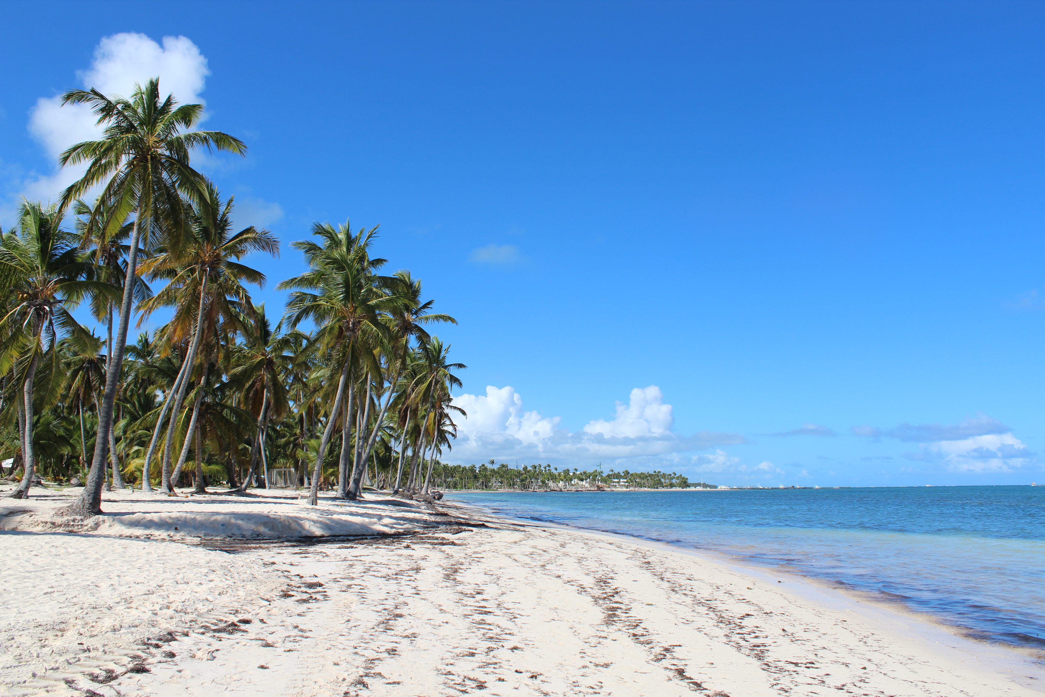 Bãi biển Cabeza de Toro, Punta Cana.