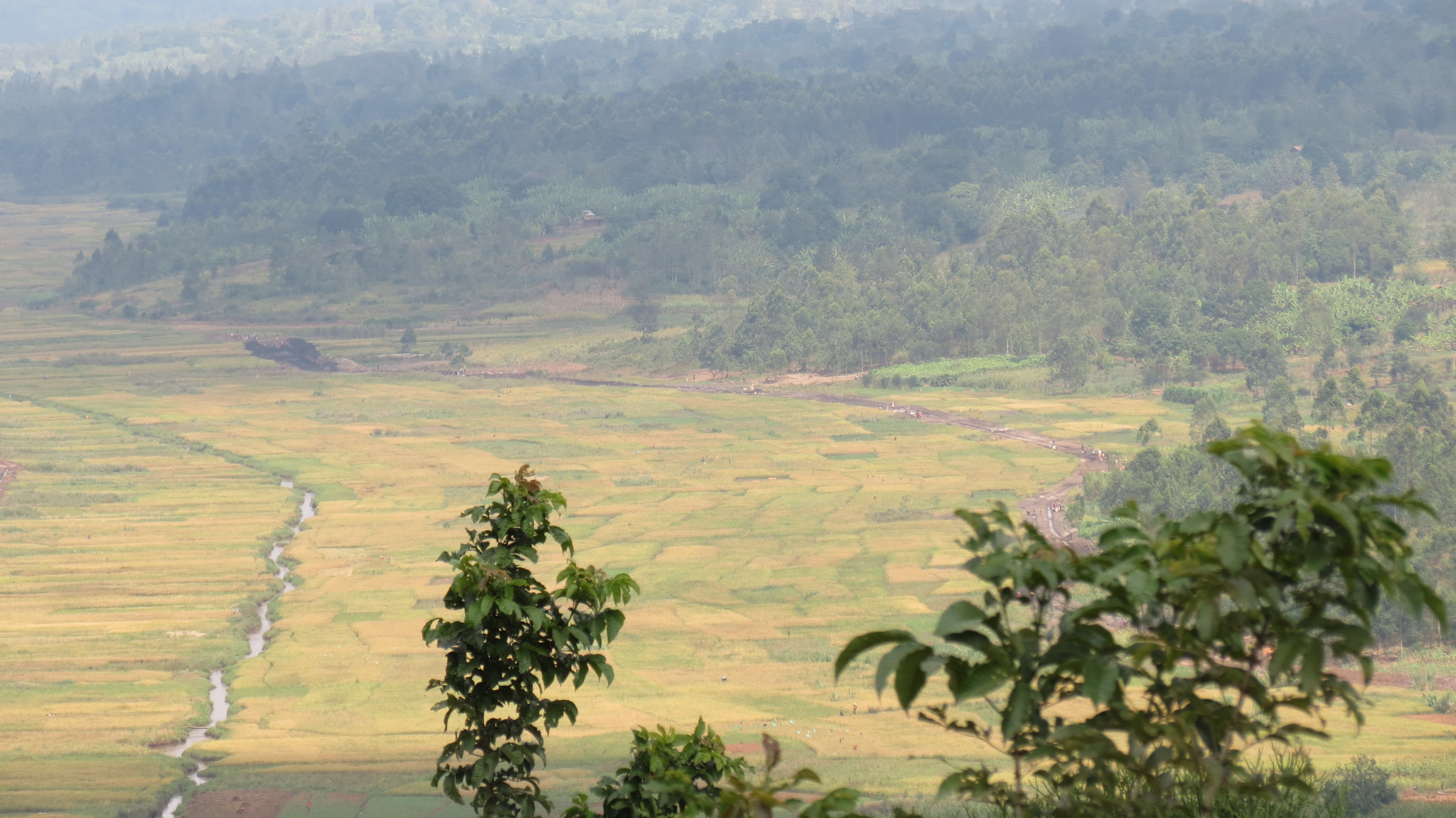 Burundian highlands.